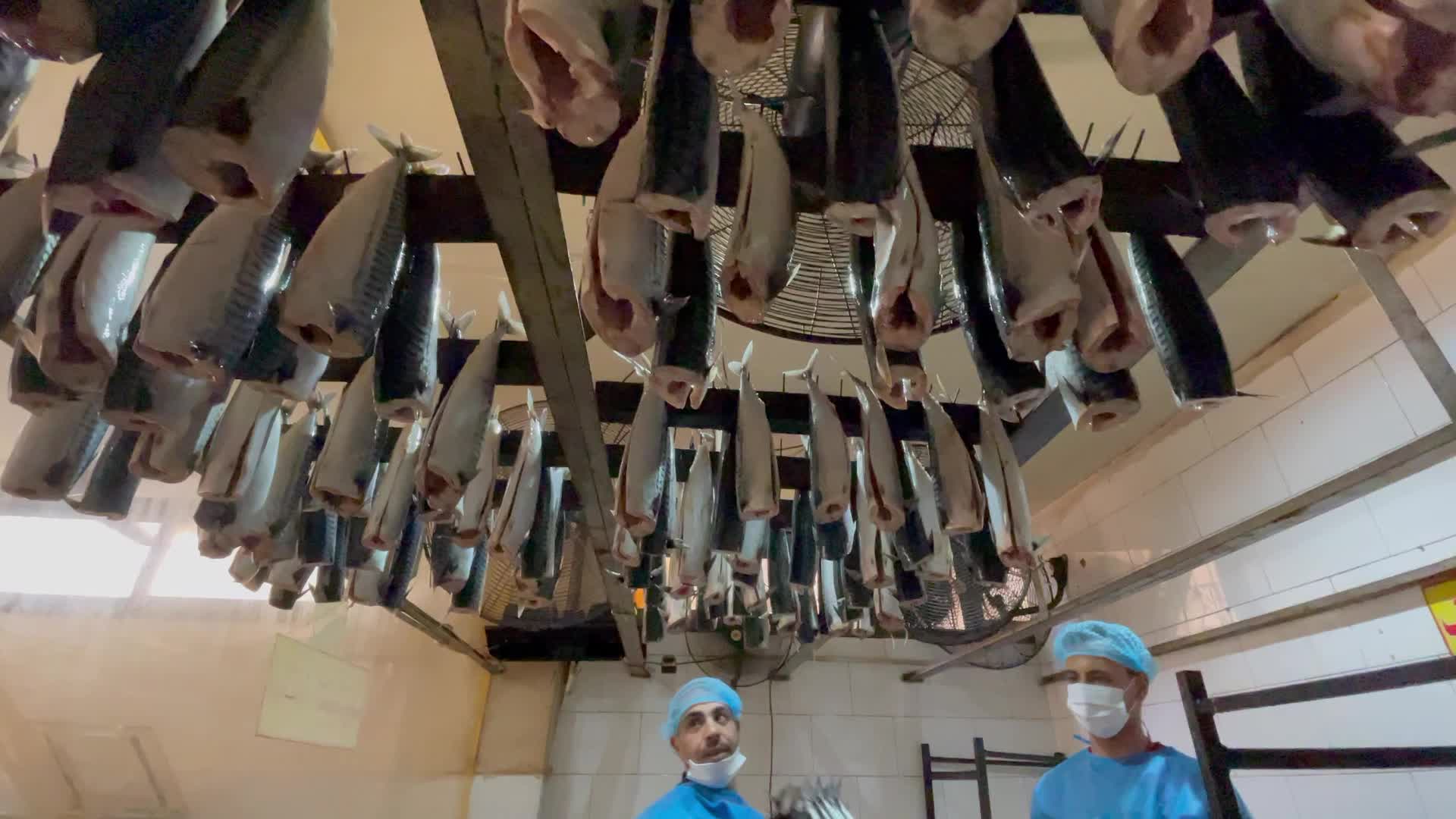 Eid Al Fitr Preparation In Gaza, Palestine