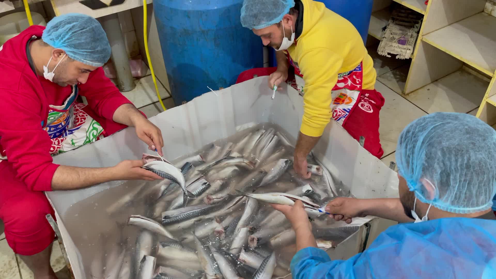 Eid Al Fitr Preparation In Gaza, Palestine