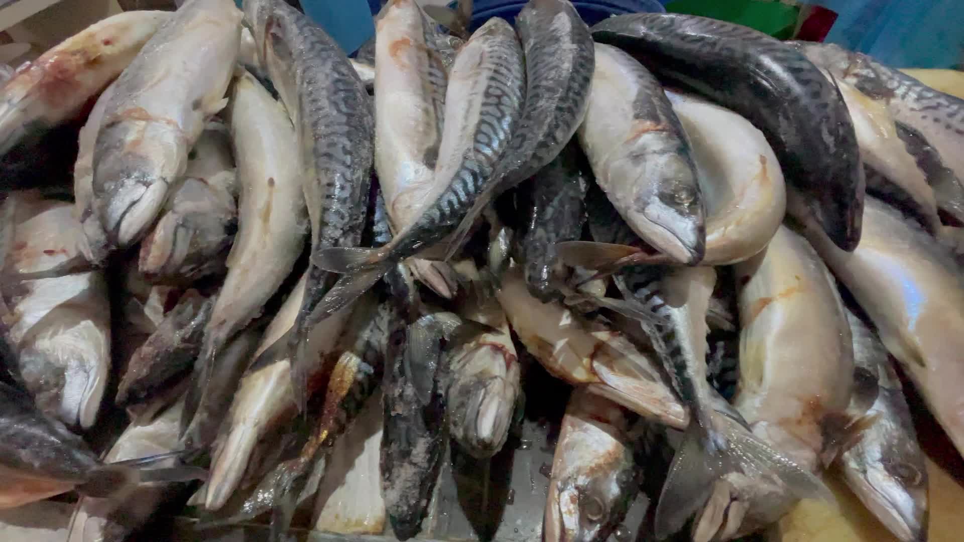 Eid Al Fitr Preparation In Gaza, Palestine
