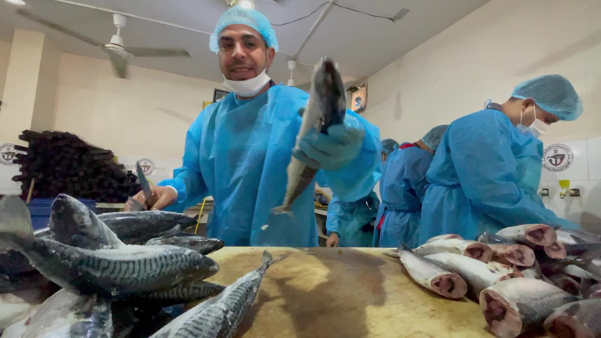 Eid Al Fitr Preparation In Gaza, Palestine
