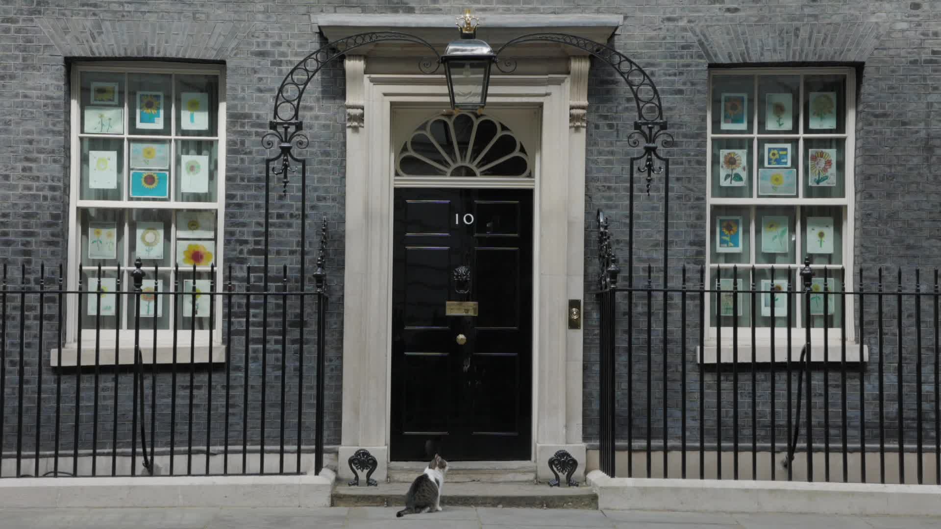 Downing Street Cat Larry Outside Number 10 In London