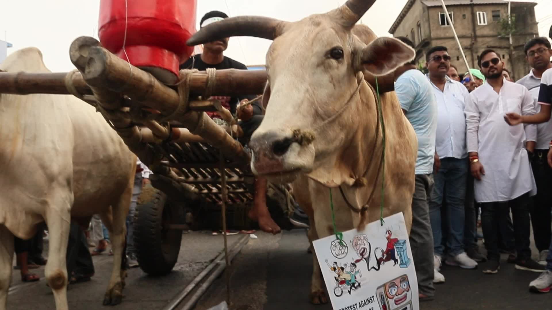 Protest Against Price Hike In Kolkata, India