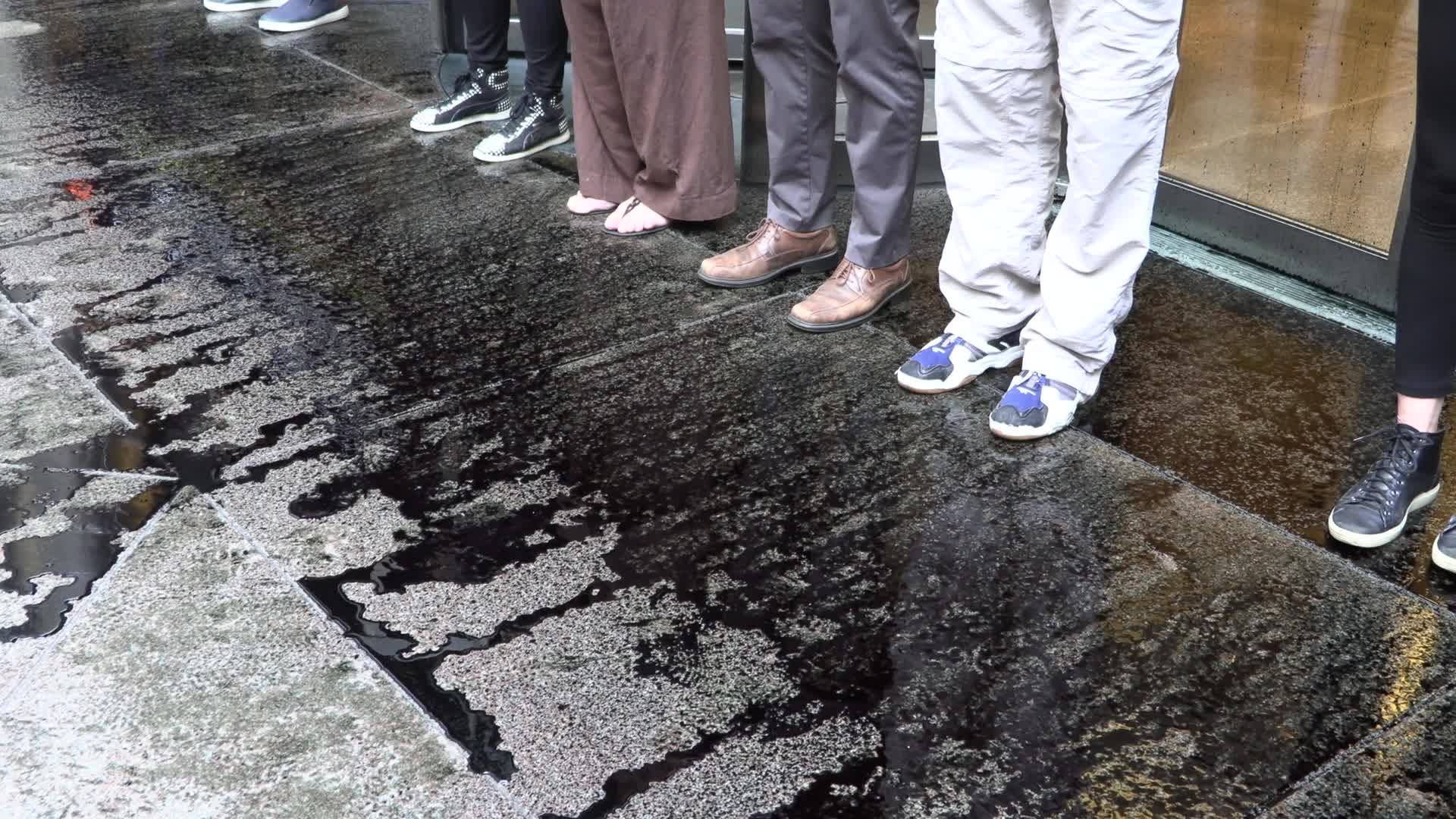 NYC: Arrests at BlackRock HQ after climate protest