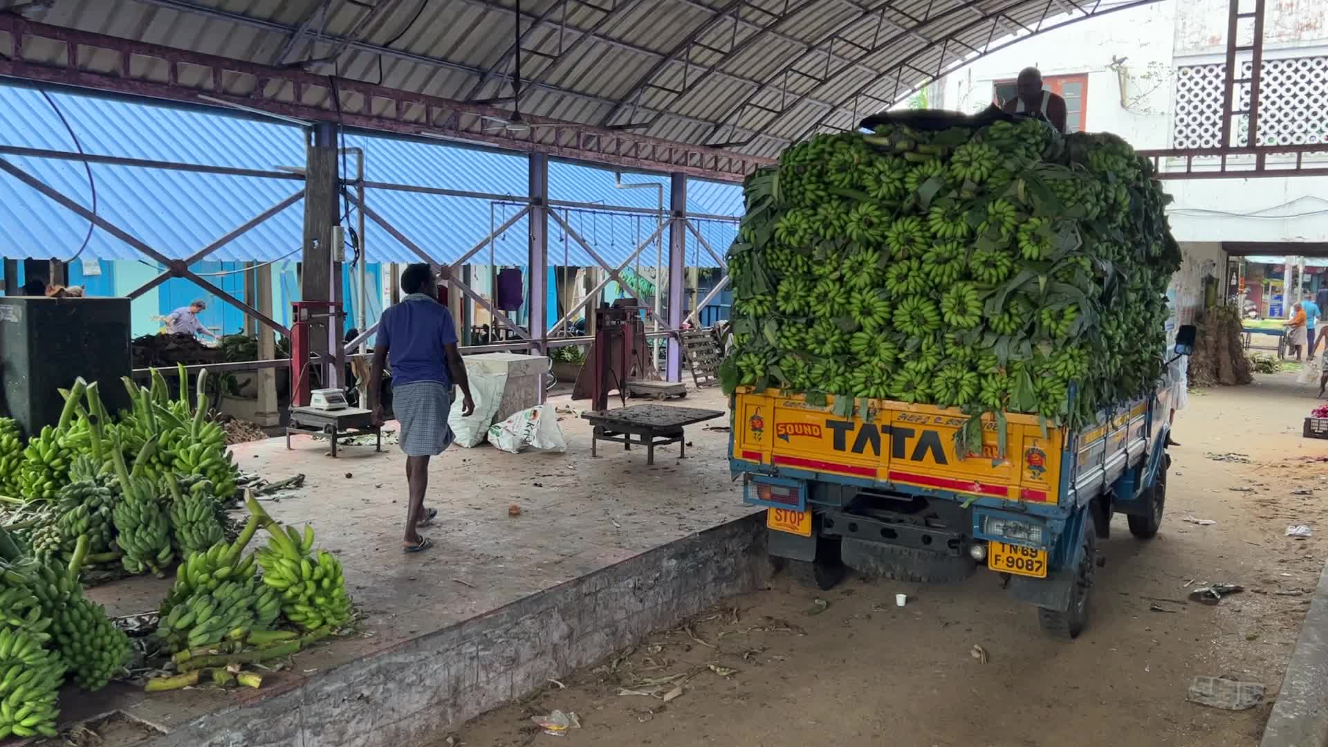 Banana market in Kerala, India