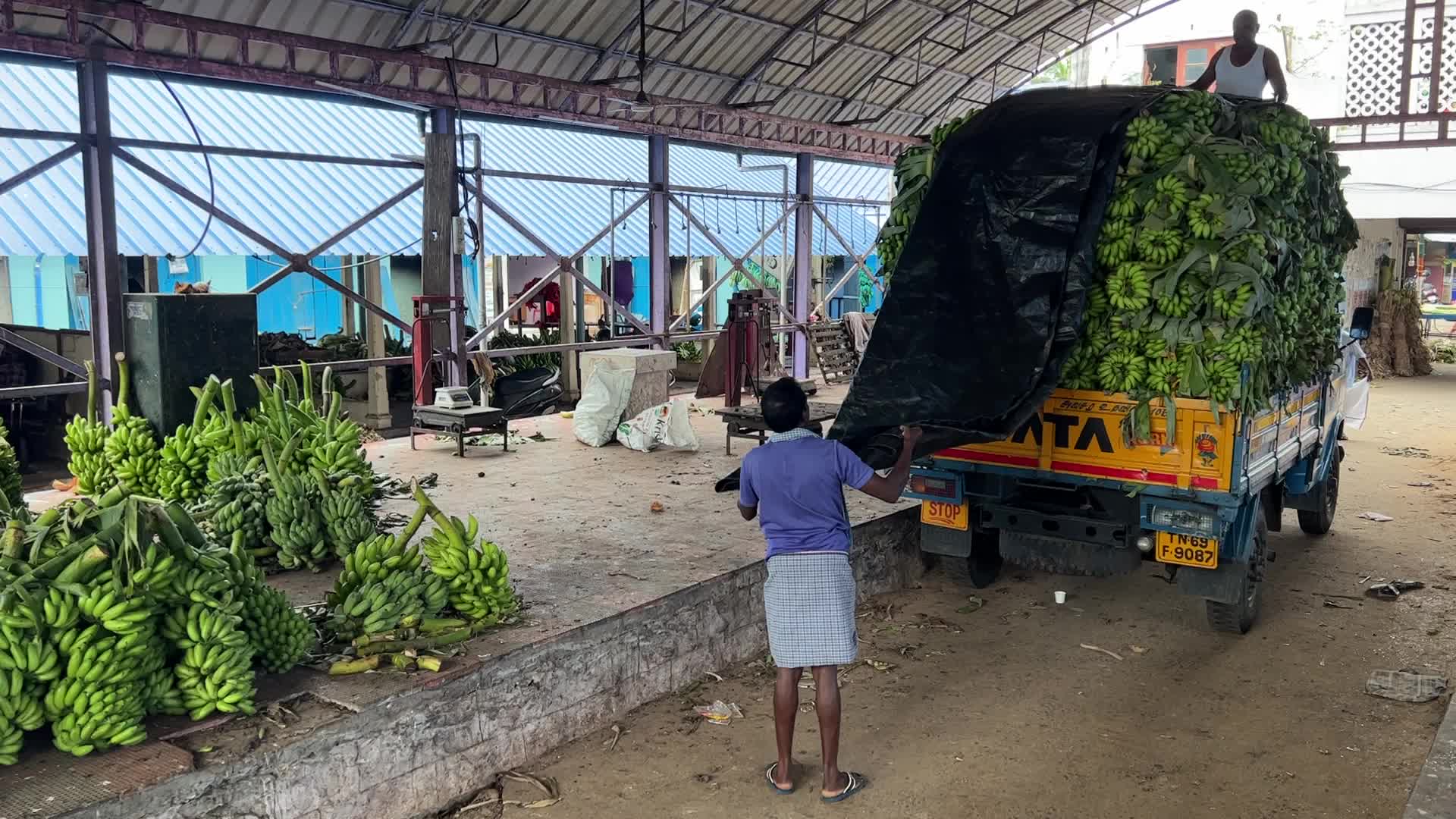 Banana market in Kerala, India