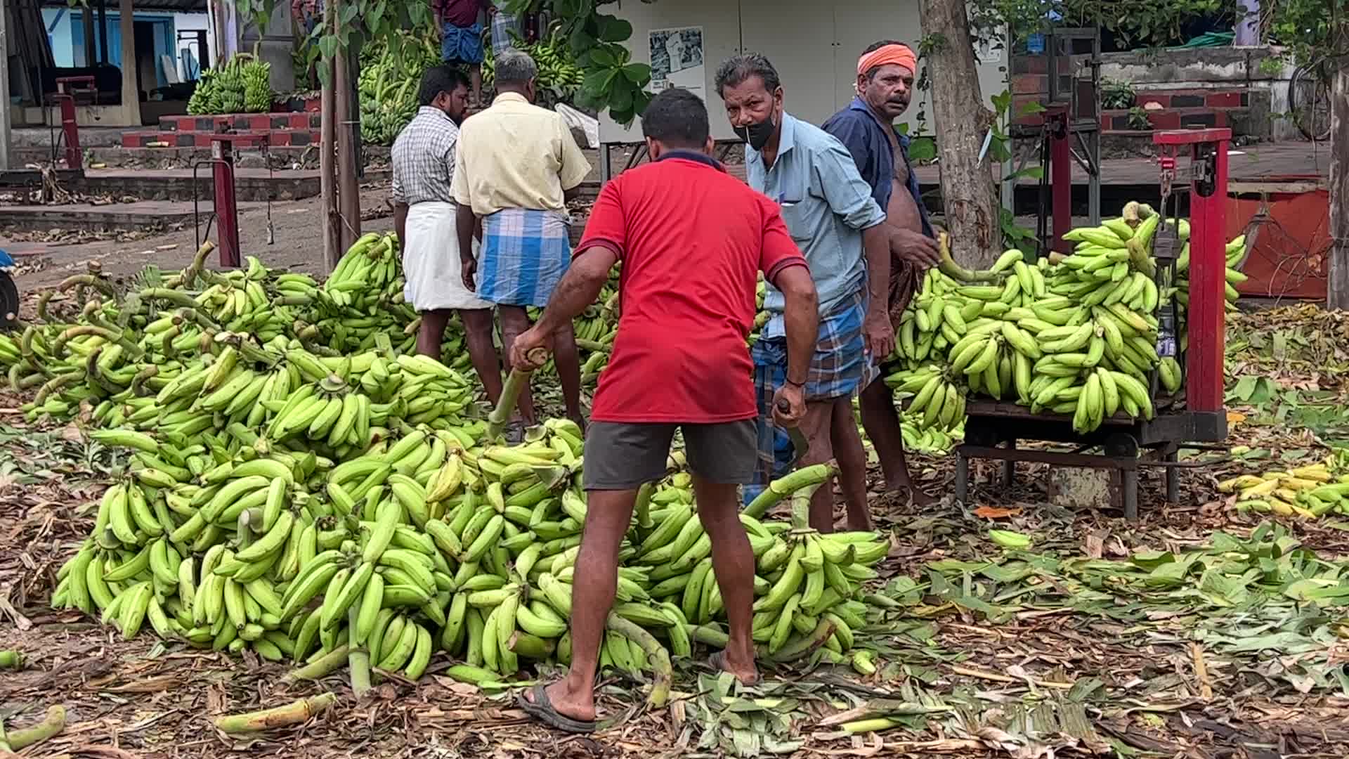 Banana market in Kerala, India