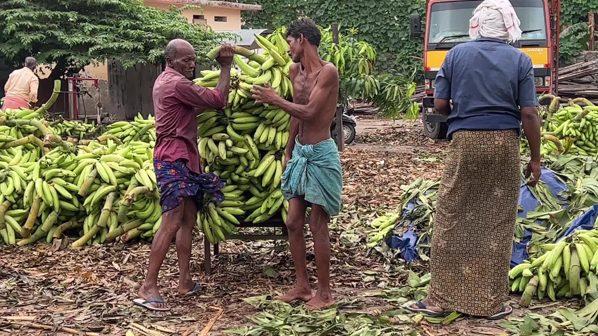 Banana market in Kerala, India