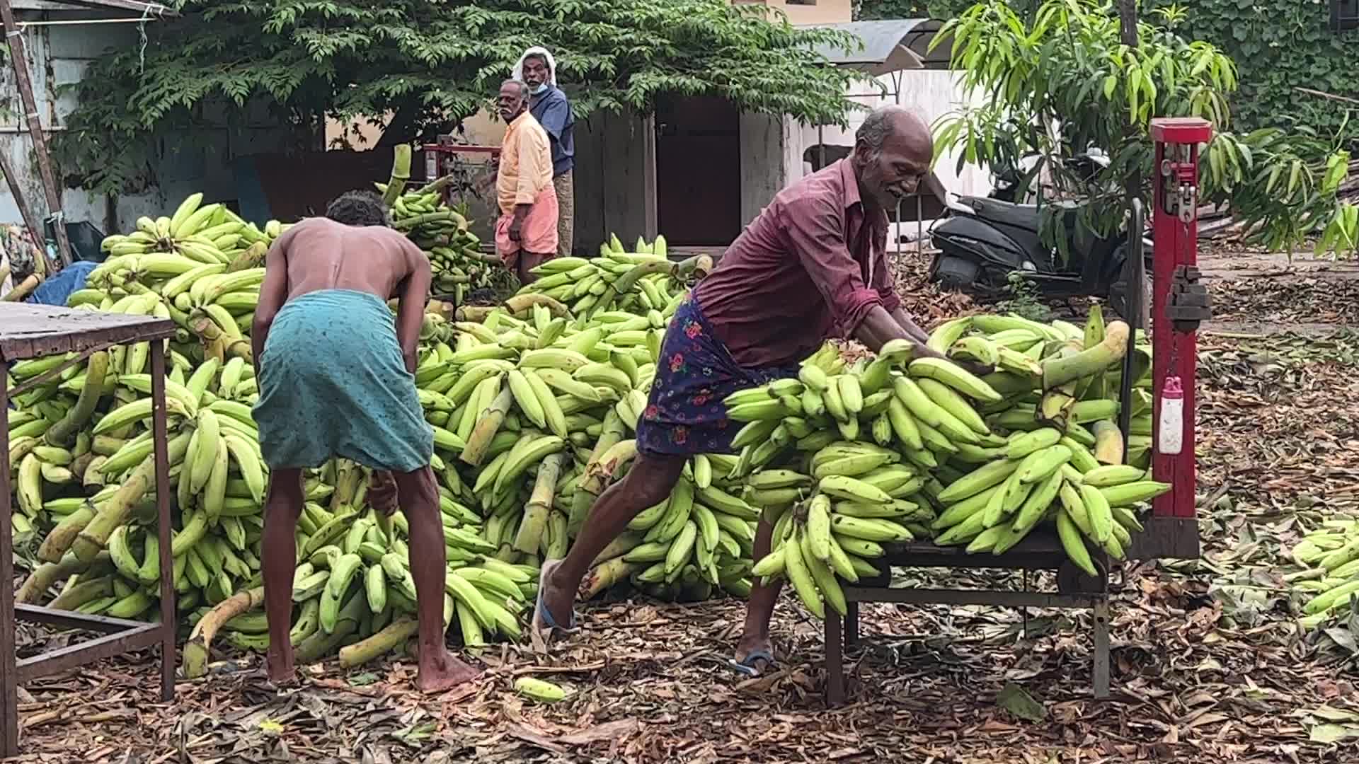 Banana market in Kerala, India