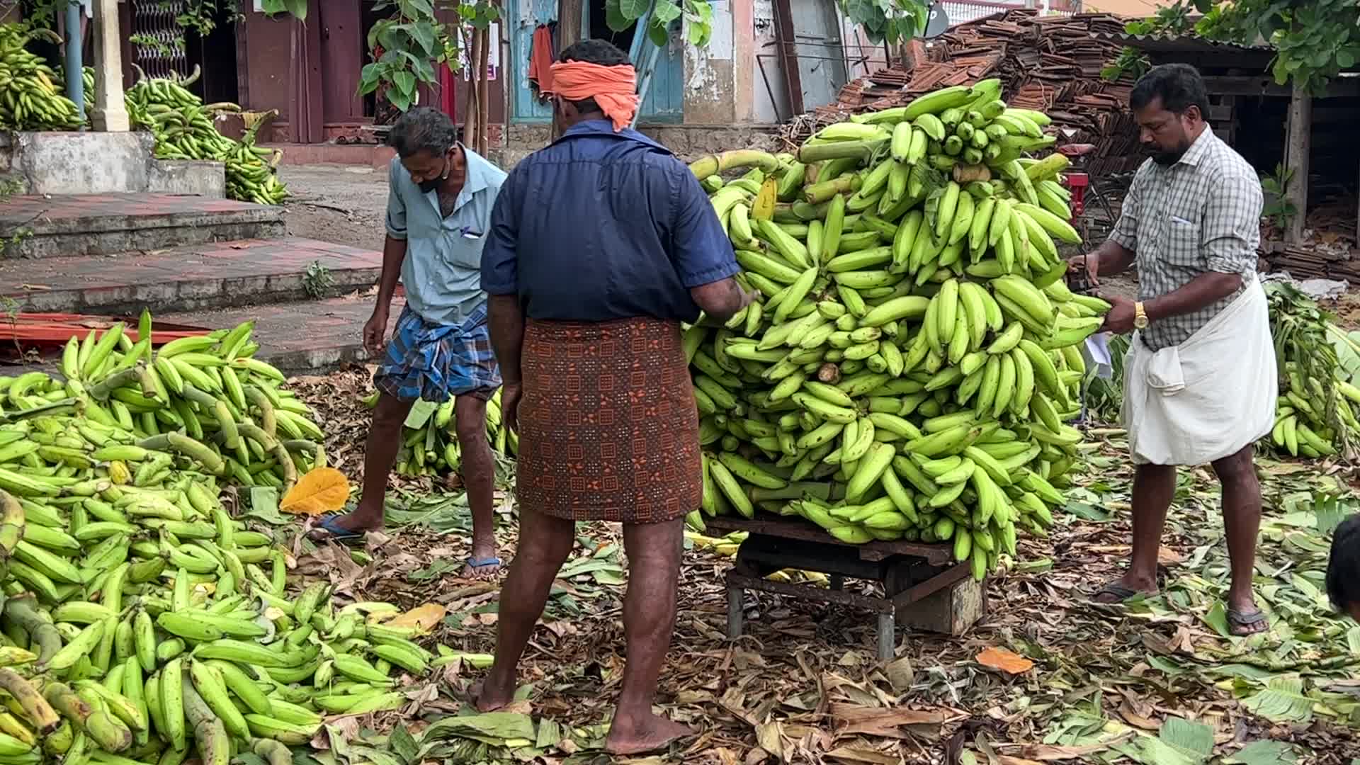 Banana market in Kerala, India