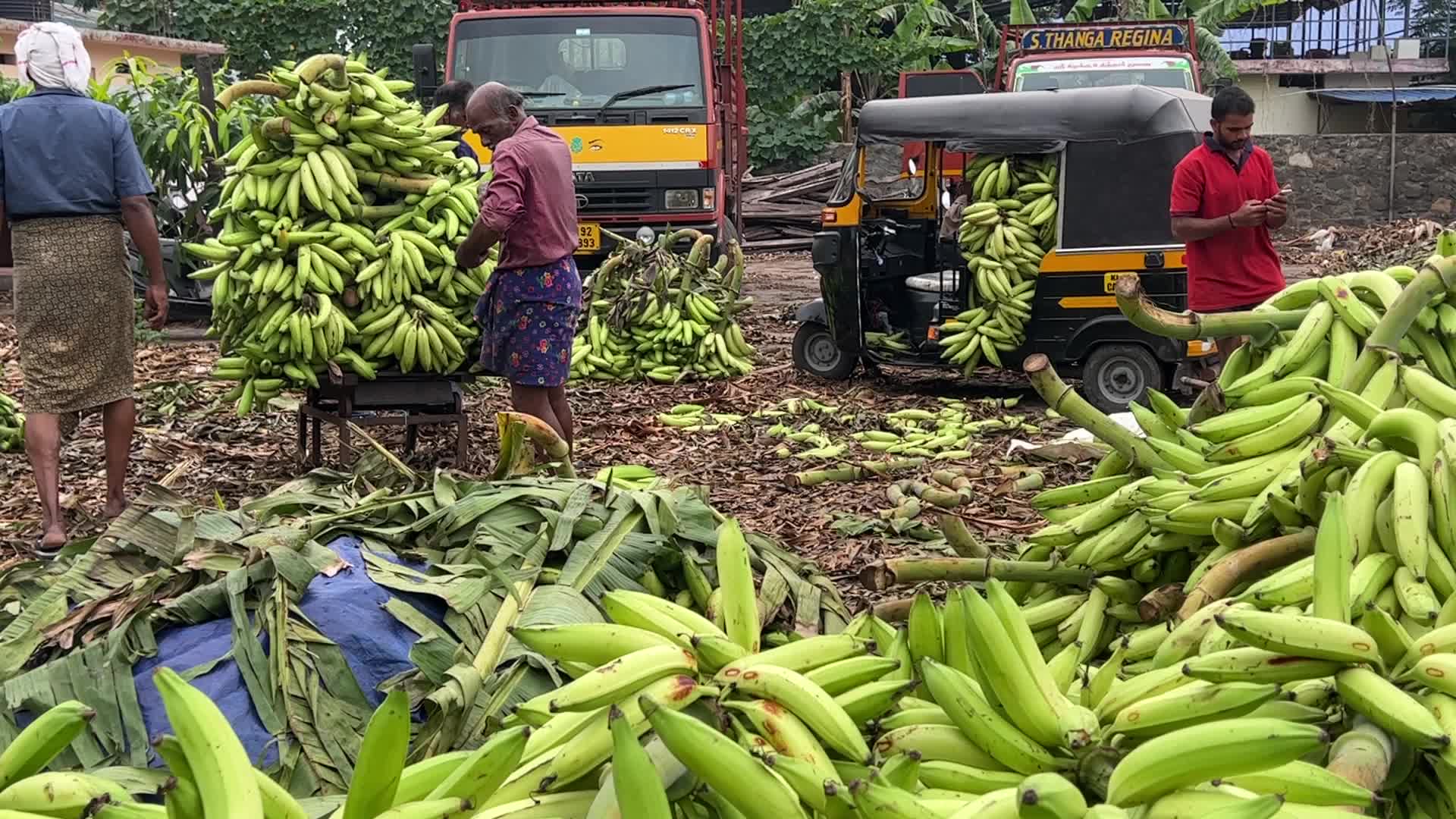 Banana market in Kerala, India