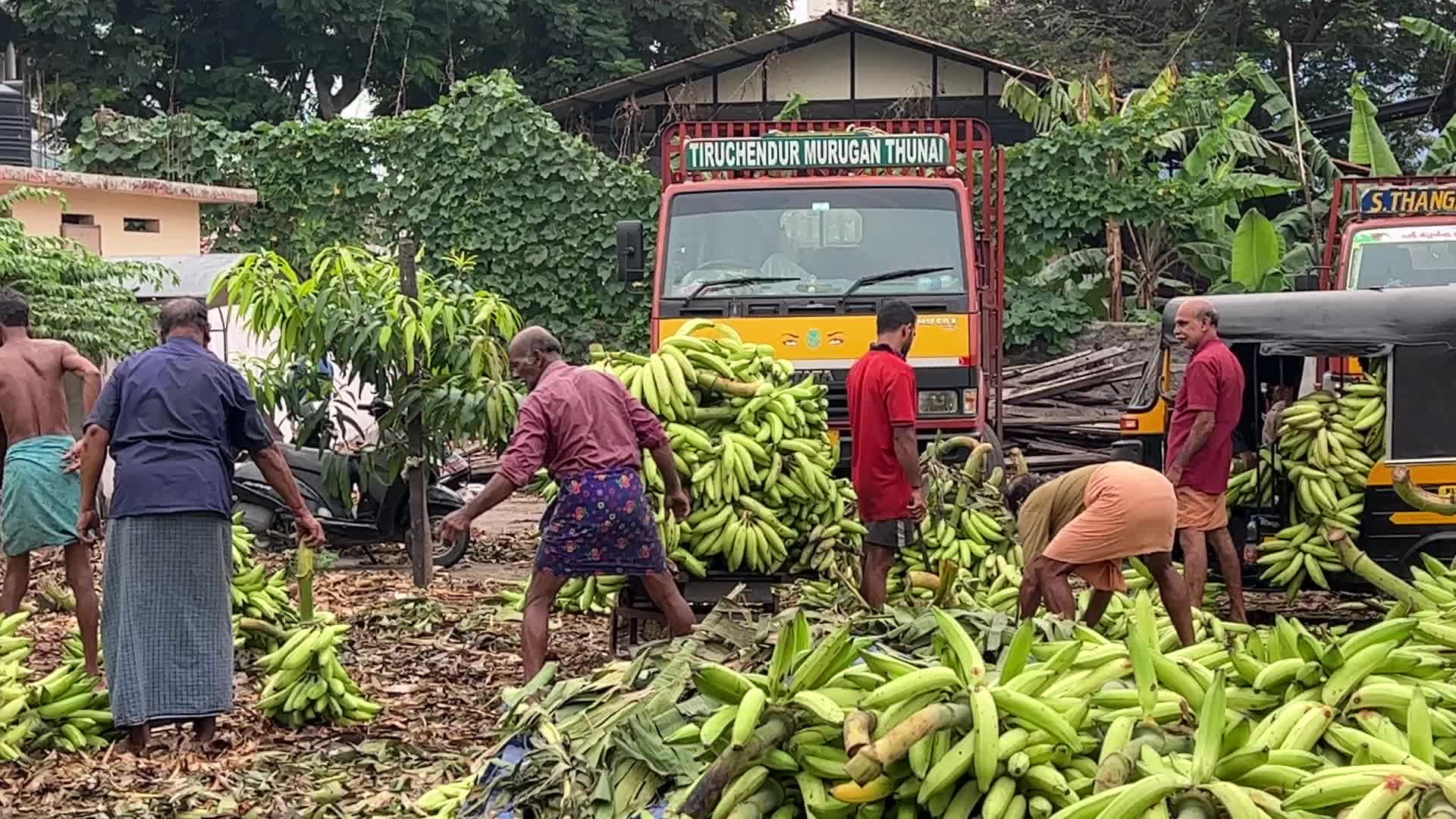 Banana market in Kerala, India