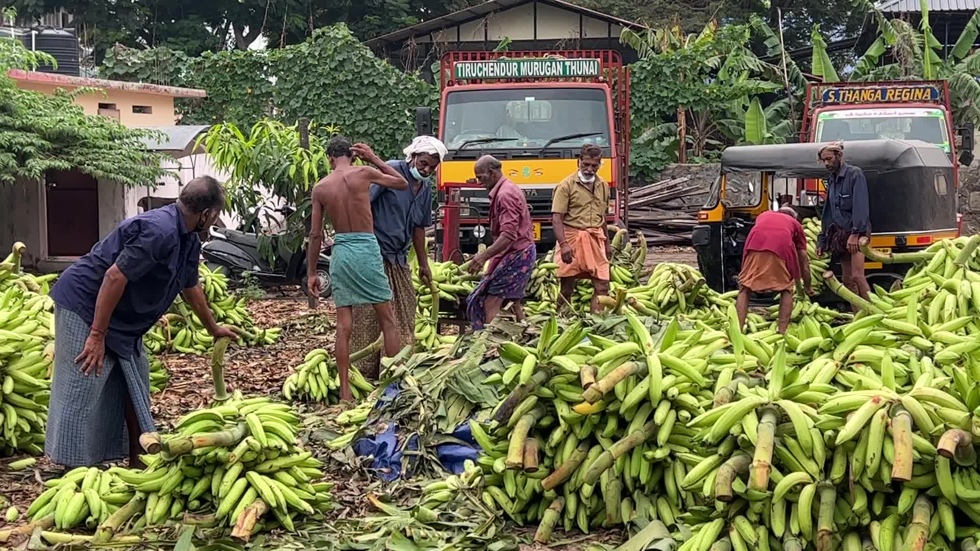 Banana market in Kerala, India
