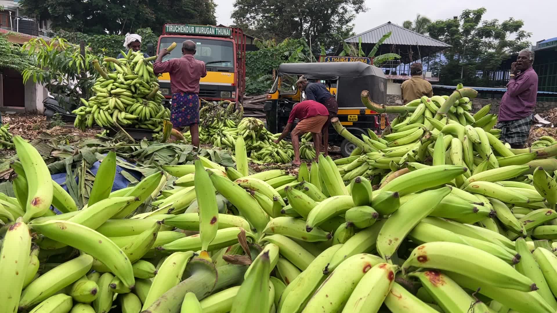 Banana market in Kerala, India