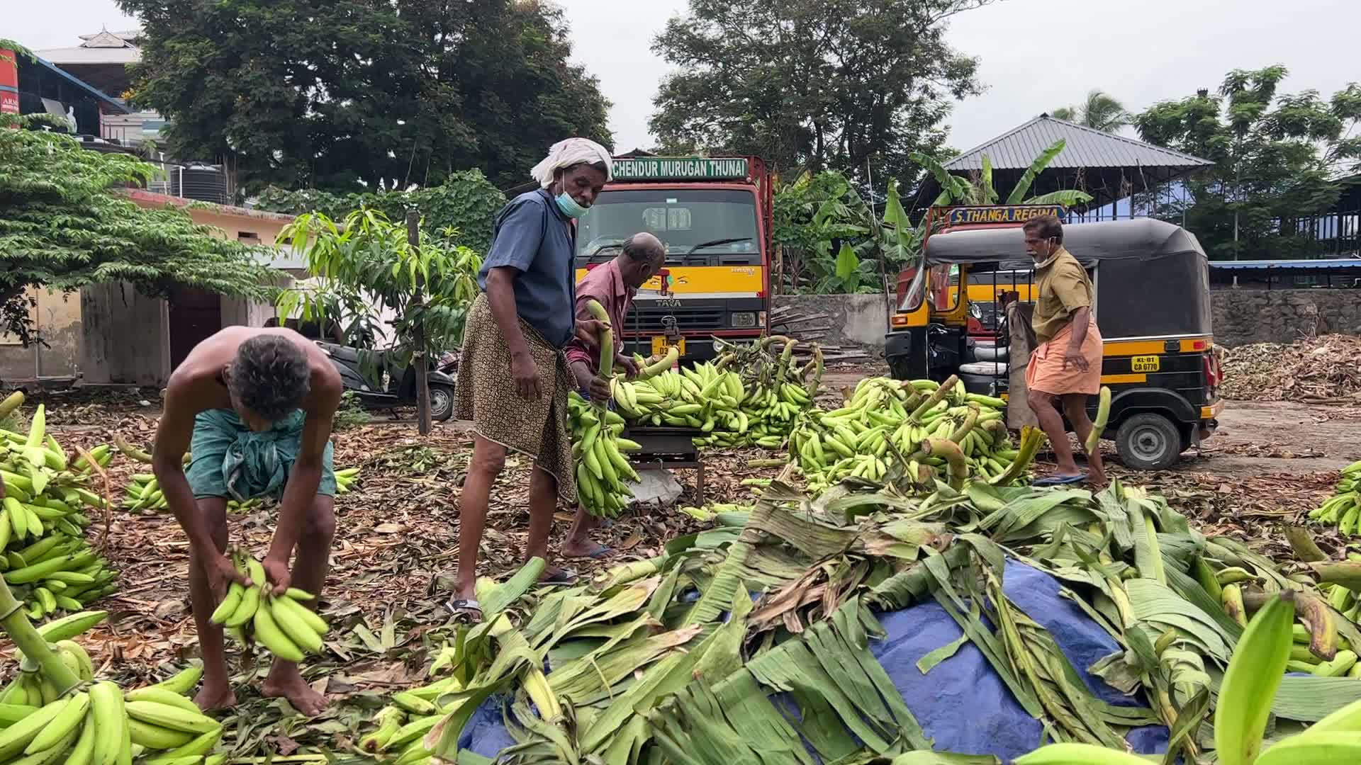 Banana market in Kerala, India