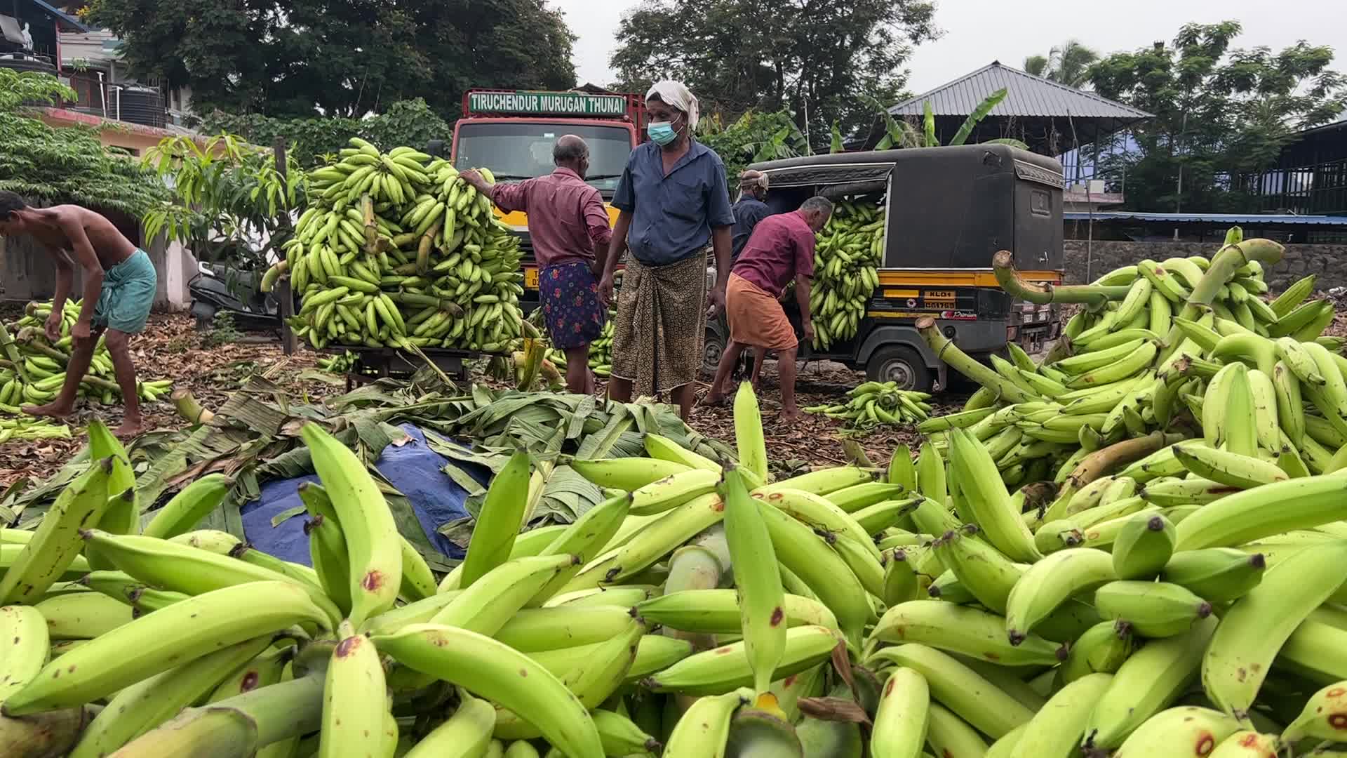 Banana market in Kerala, India