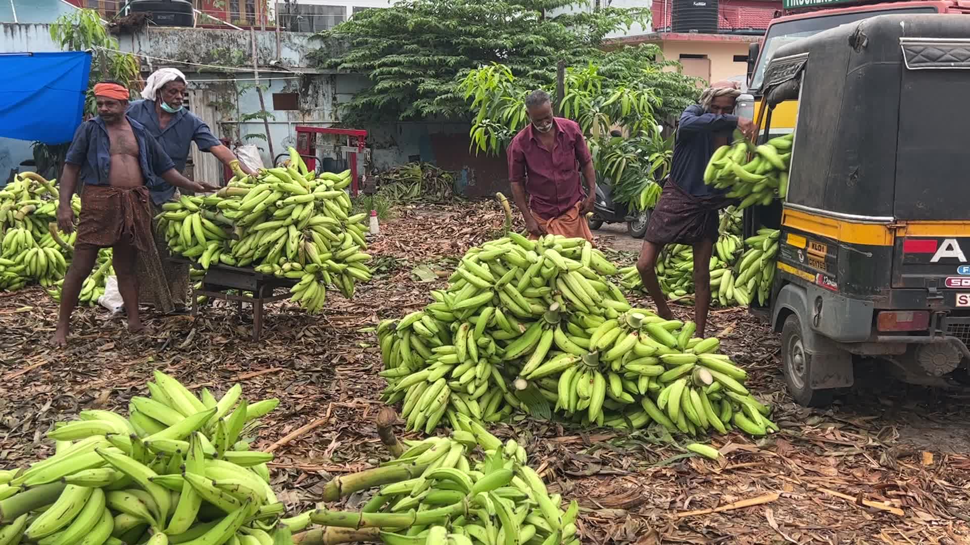Banana market in Kerala, India