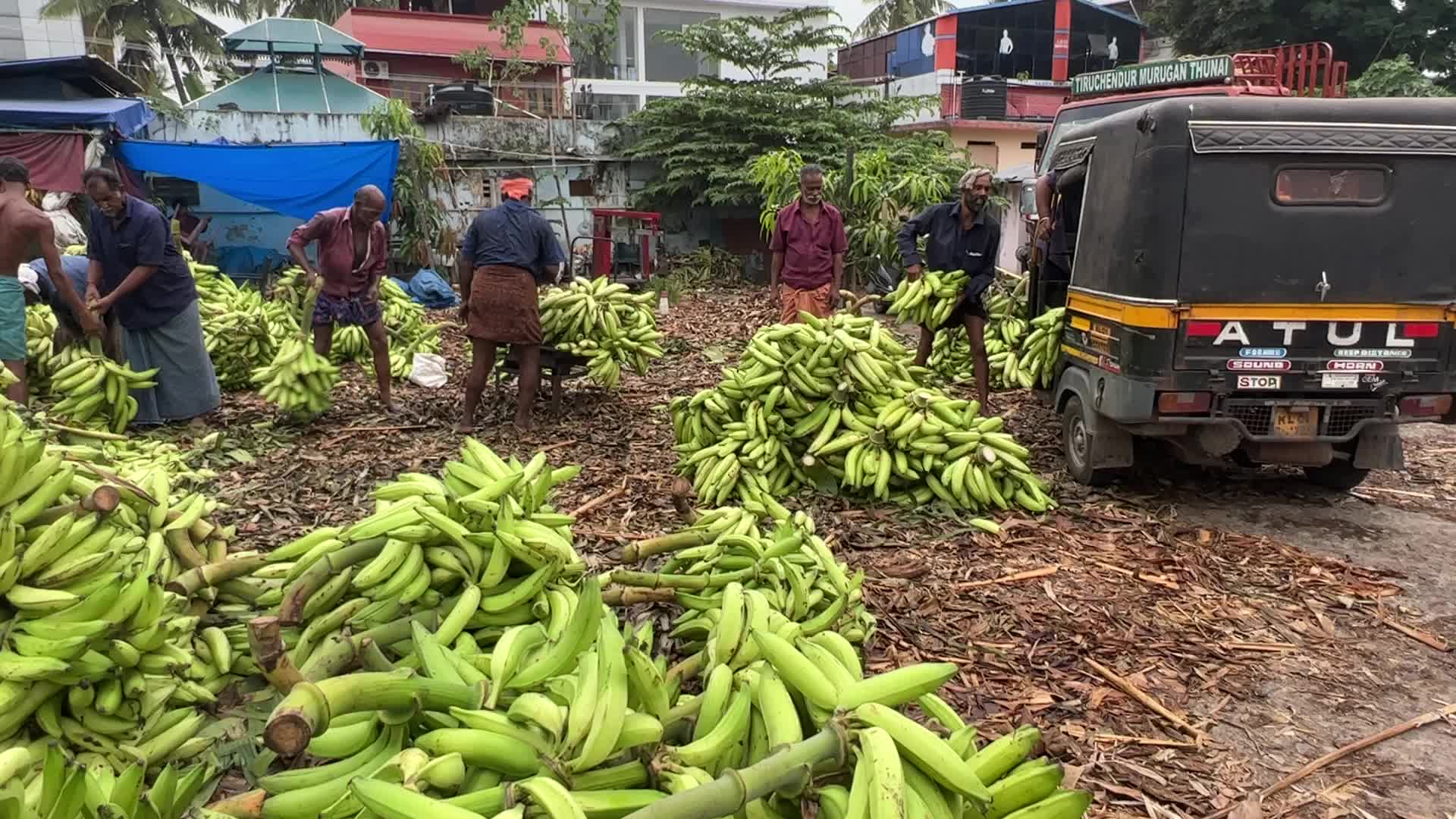 Banana market in Kerala, India