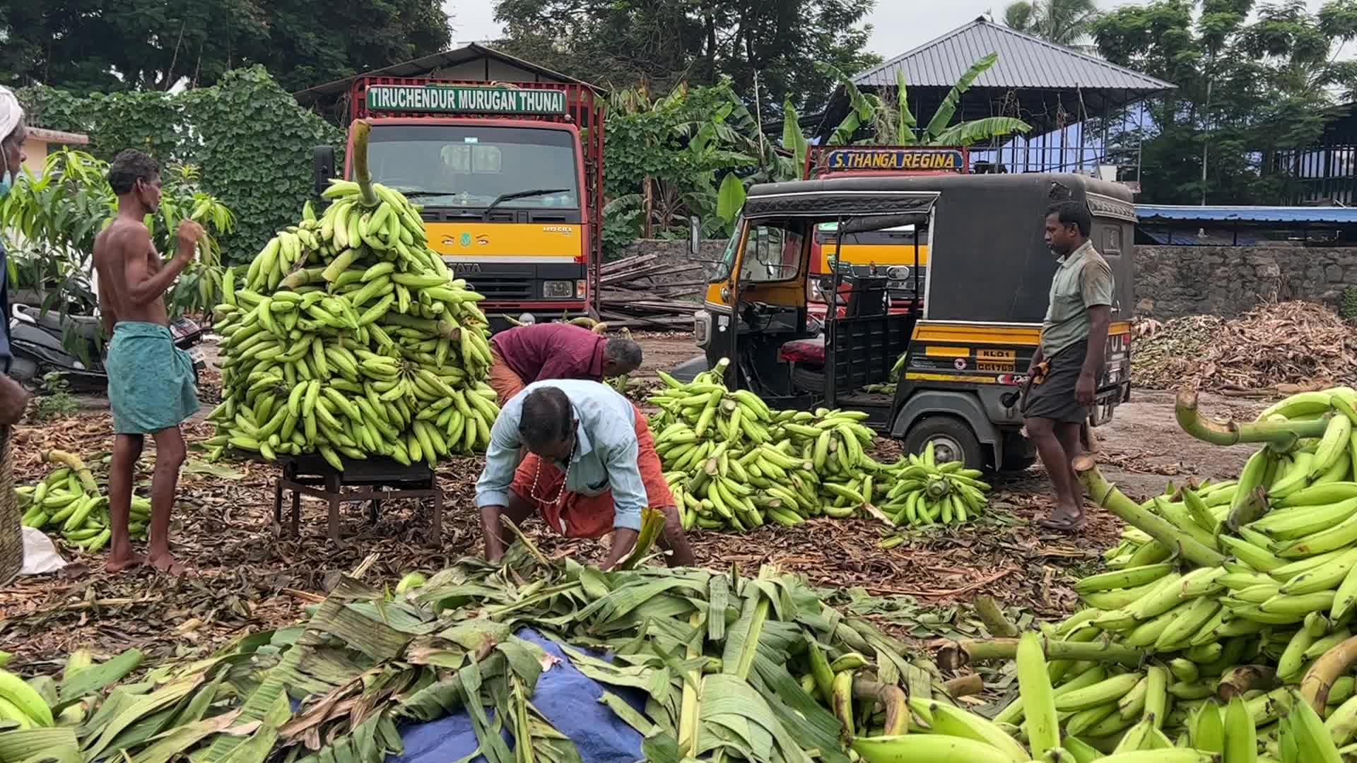 Banana market in Kerala, India