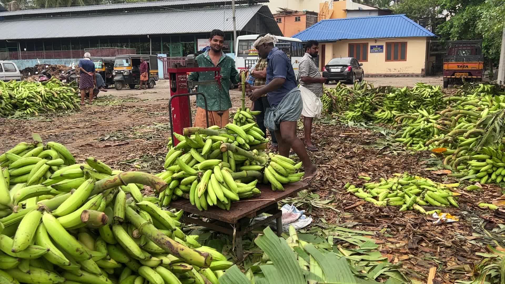 Banana market in Kerala, India