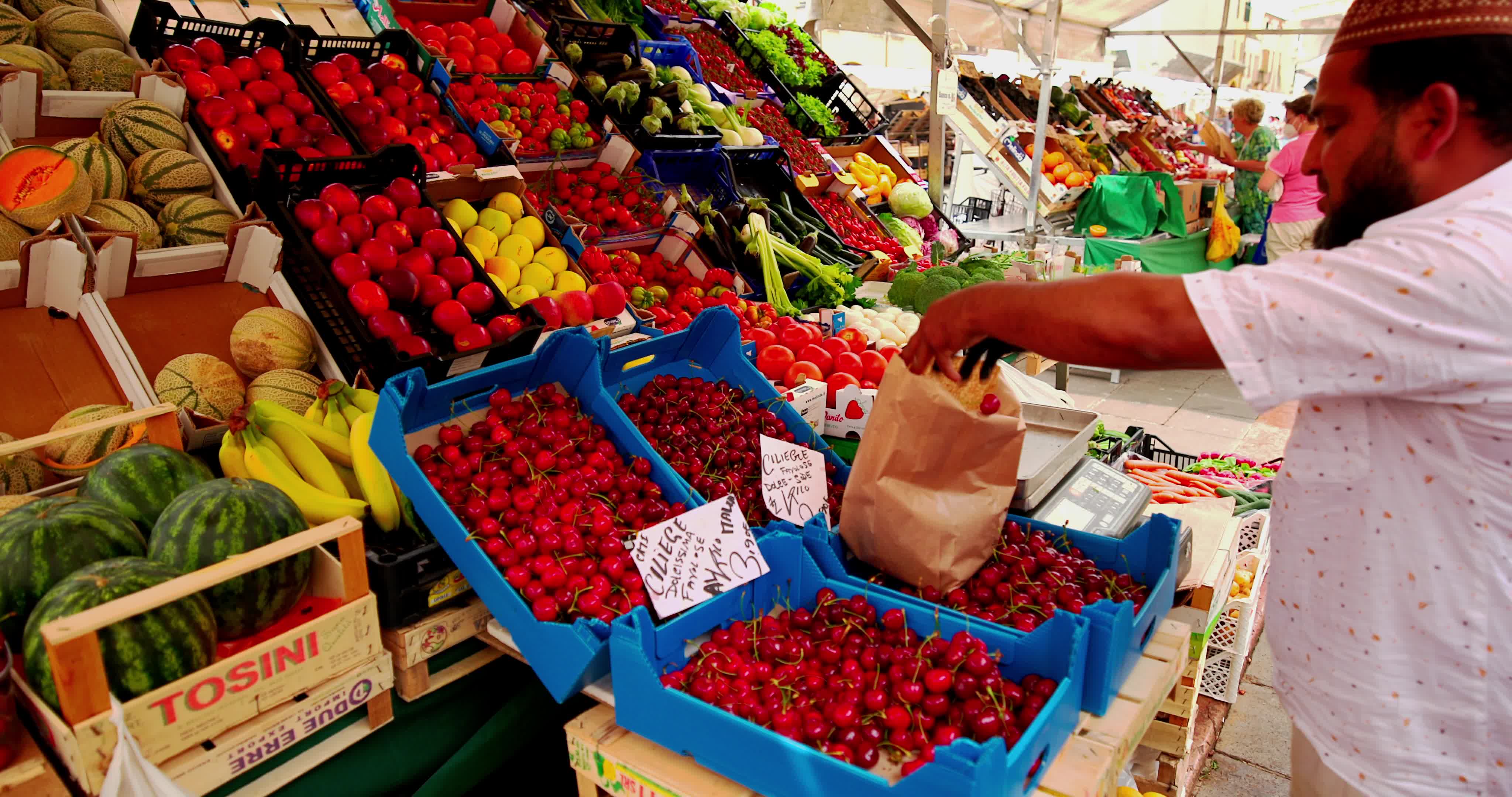 Vegetable Market In Piazza delle Erbe, Padua