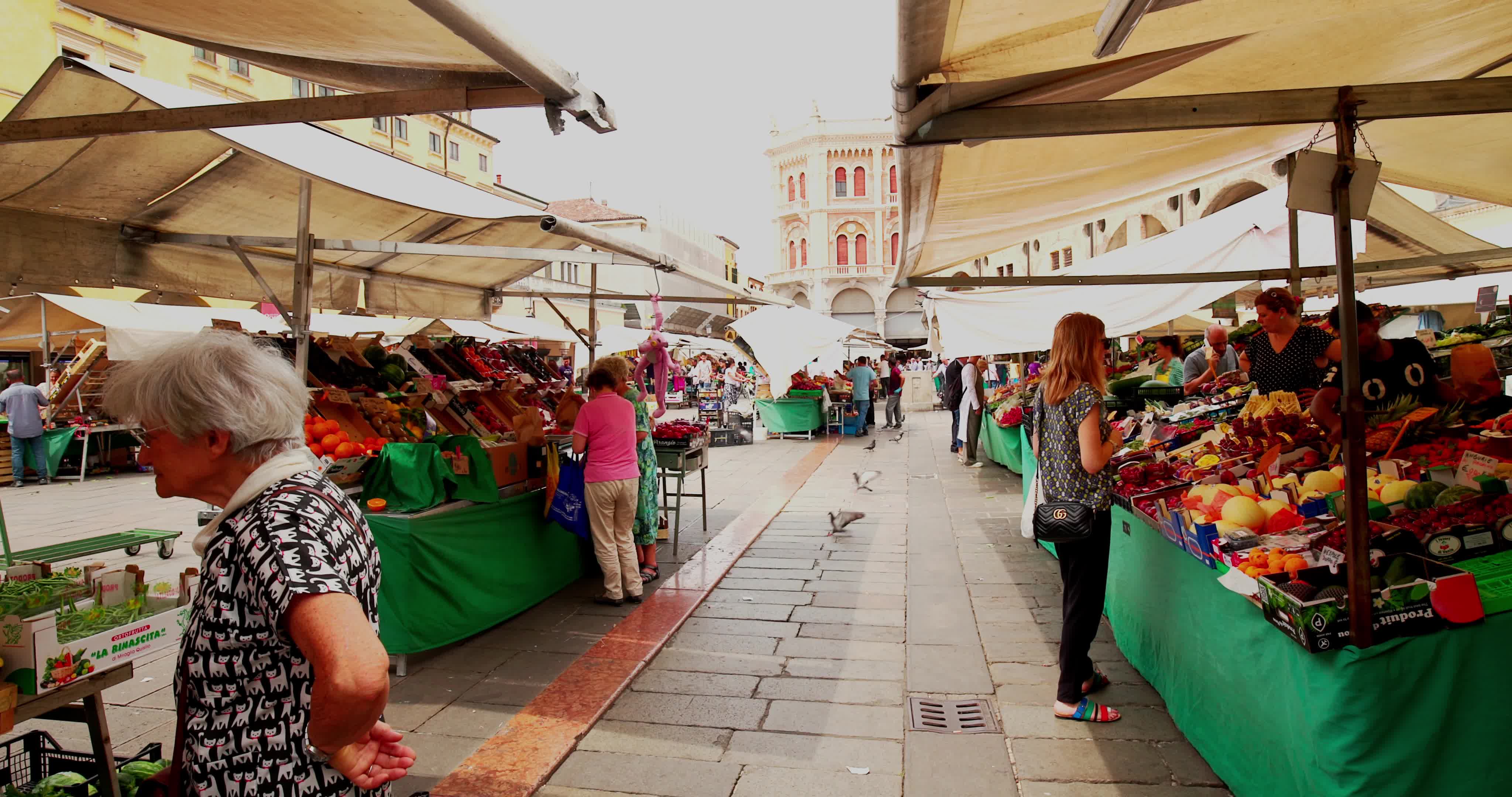 Vegetable Market In Piazza delle Erbe, Padua