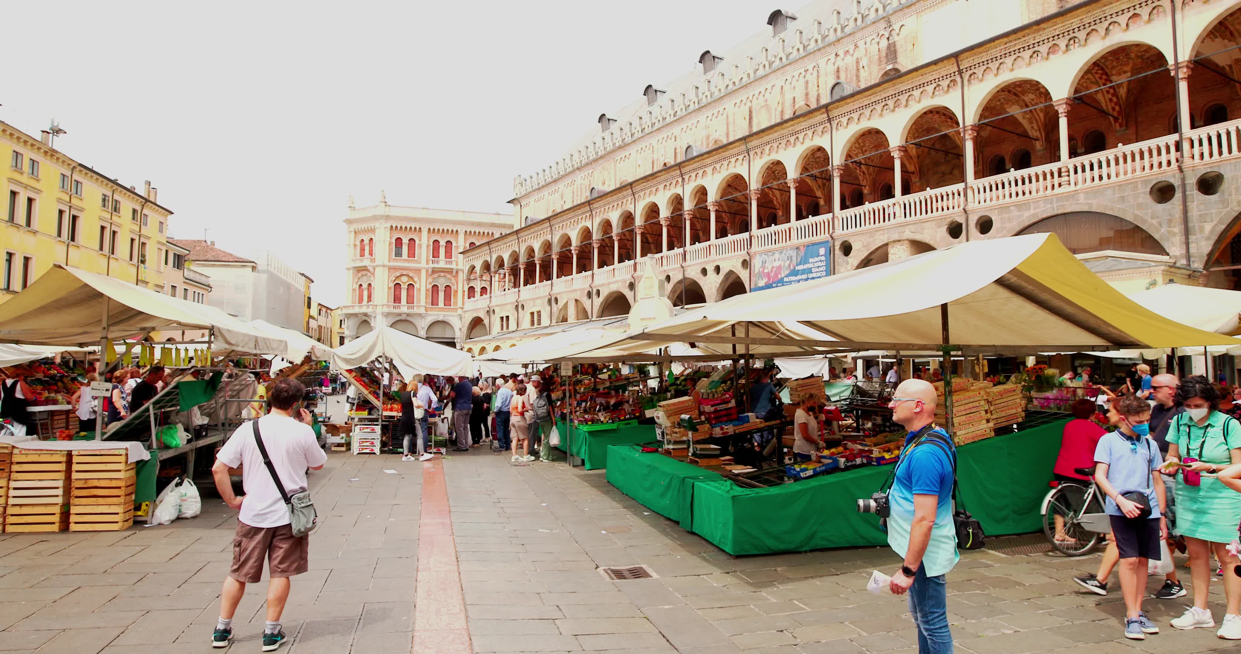Vegetable Market In Piazza delle Erbe, Padua