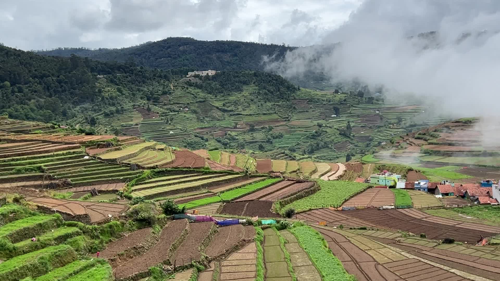 Poombarai Village in Kodaikanal