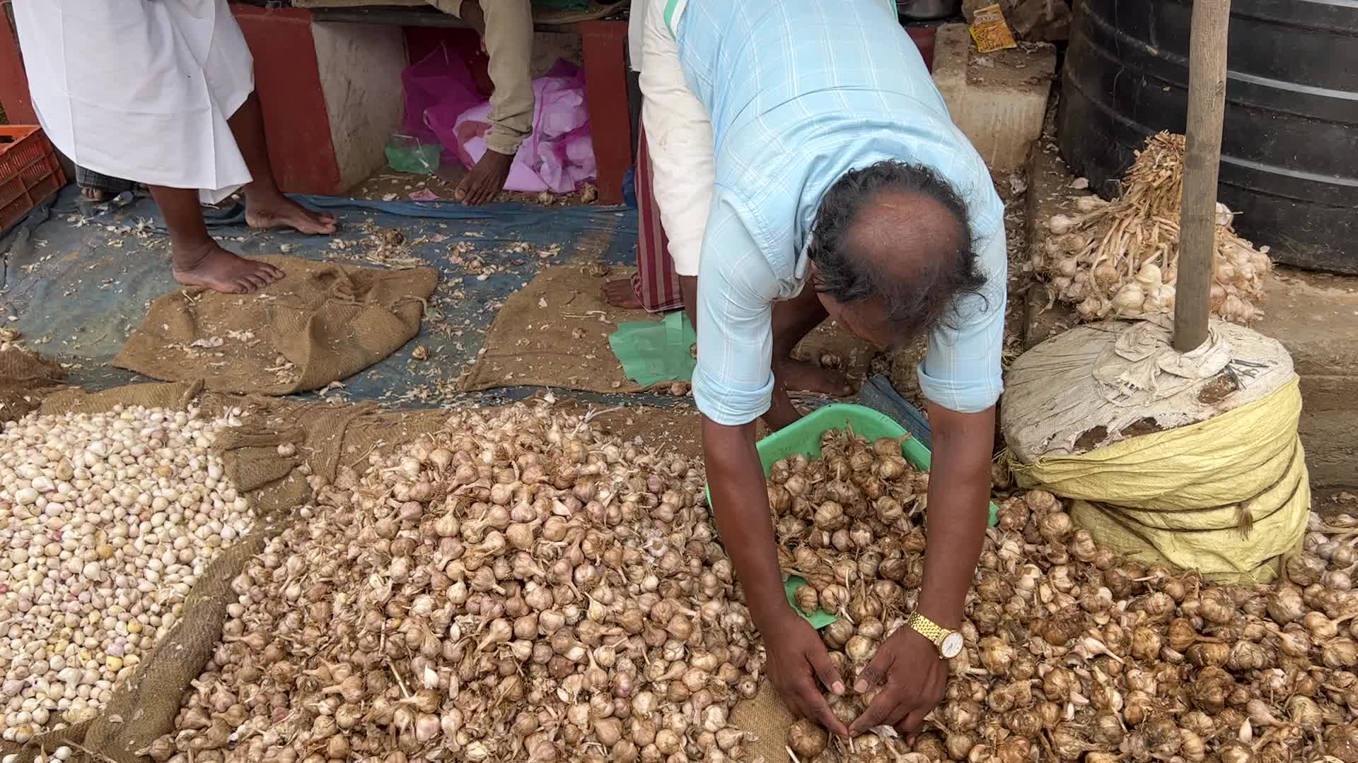 Garlic market in the Poombarai Village