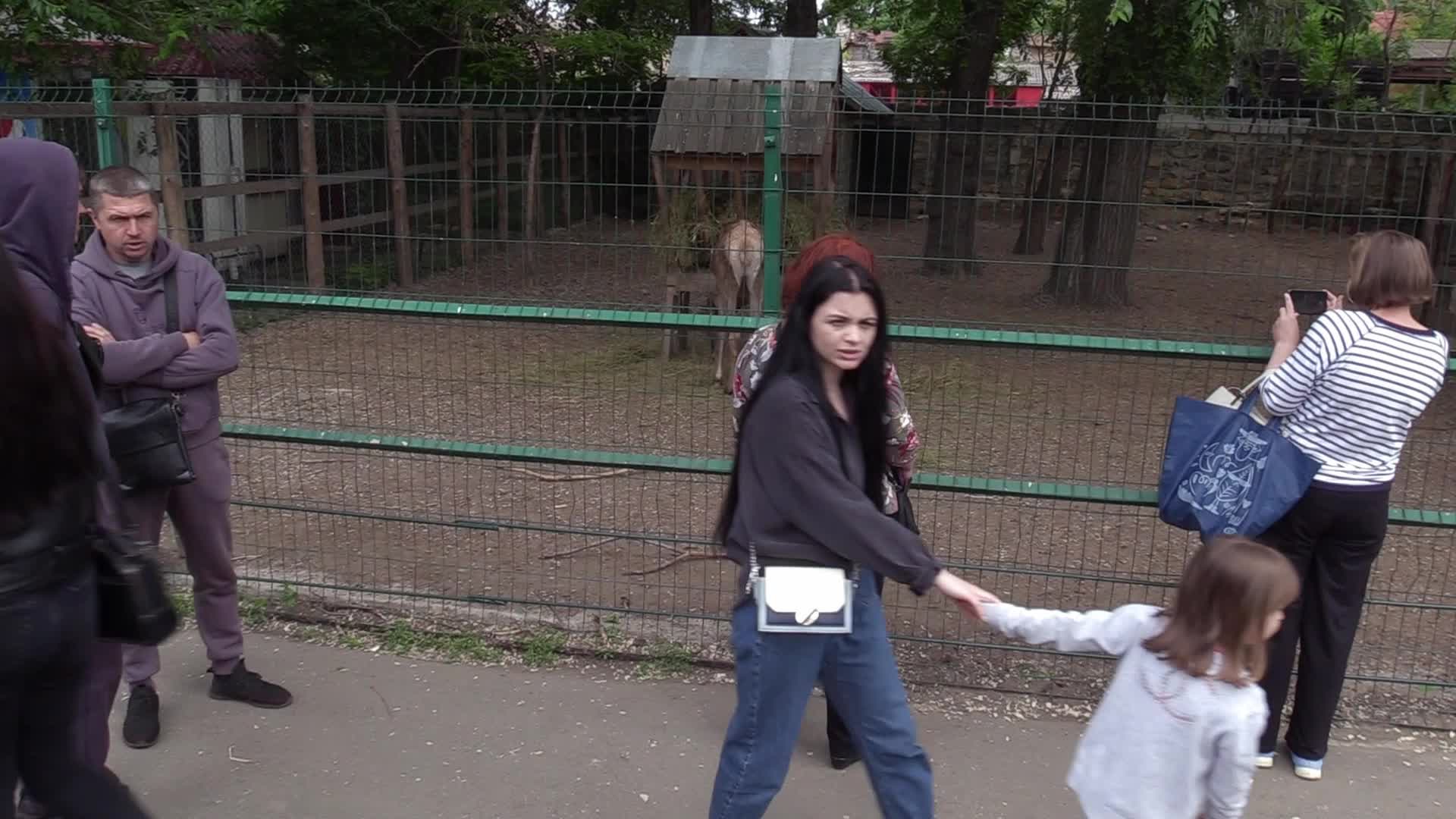 A baby of red deer was born in the Odesa Zoo, amid Russia's invasion in Ukraine
