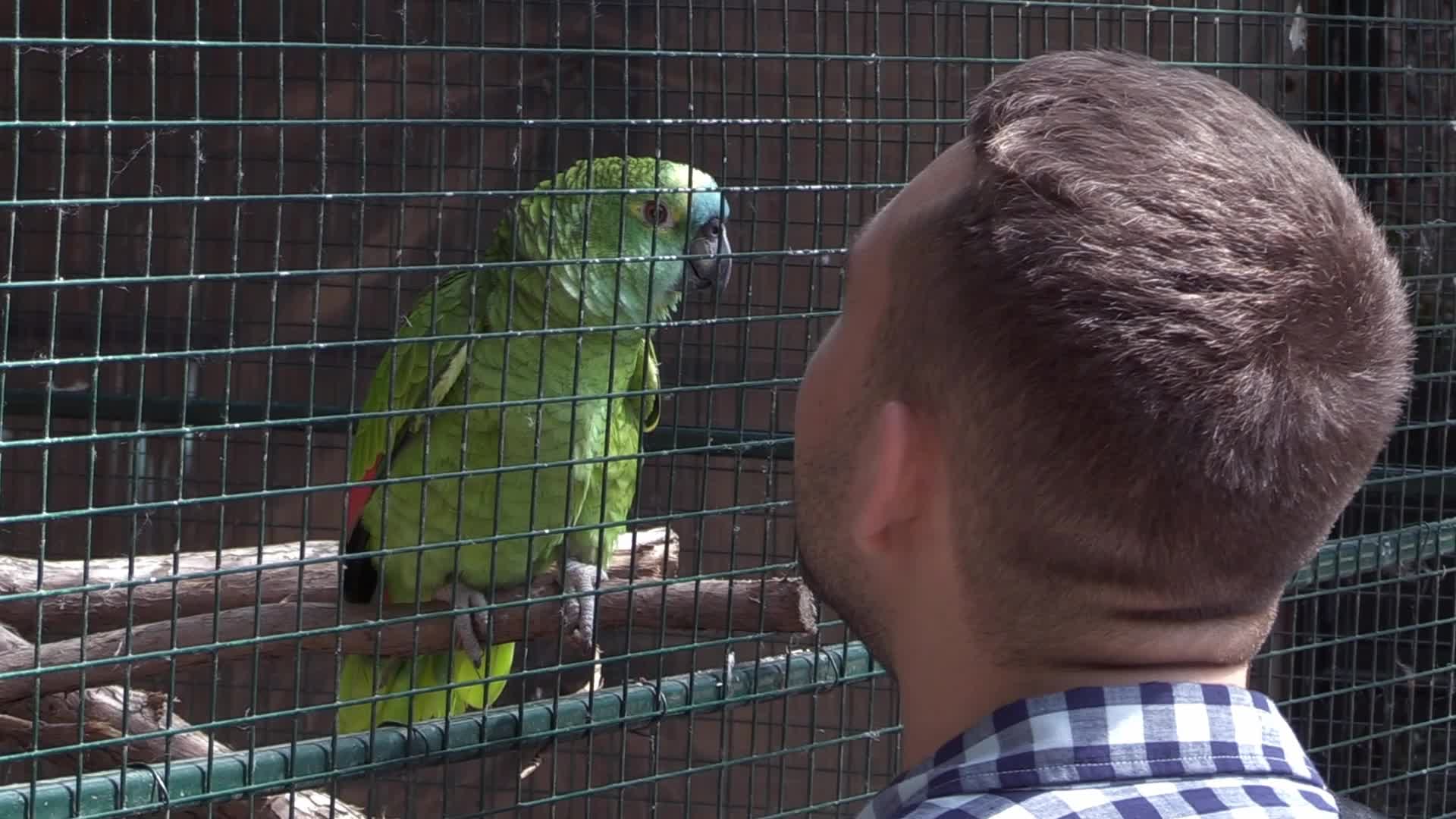 The Odesa Zoo, amid Russia's invasion in Ukraine