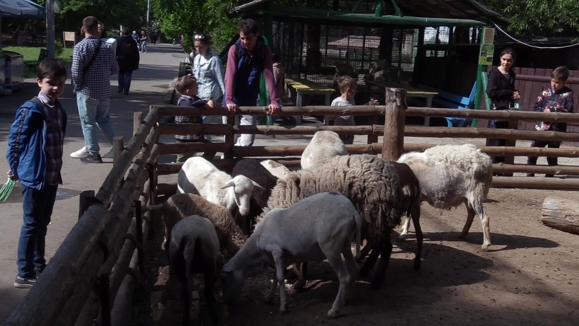 The Odesa Zoo, amid Russia's invasion in Ukraine