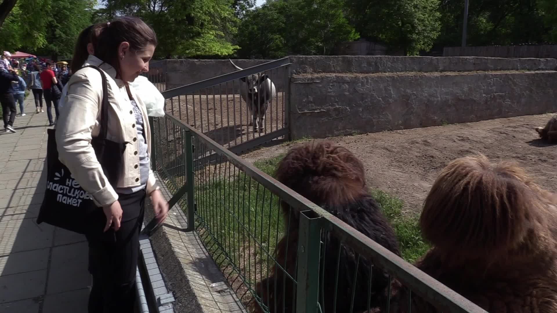 The Odesa Zoo, amid Russia's invasion in Ukraine