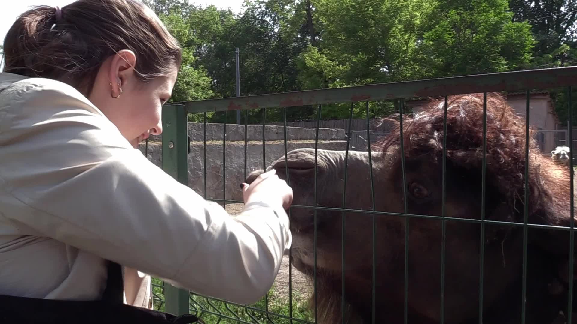 The Odesa Zoo, amid Russia's invasion in Ukraine