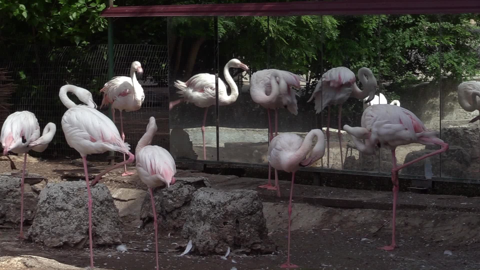The Odesa Zoo, amid Russia's invasion in Ukraine