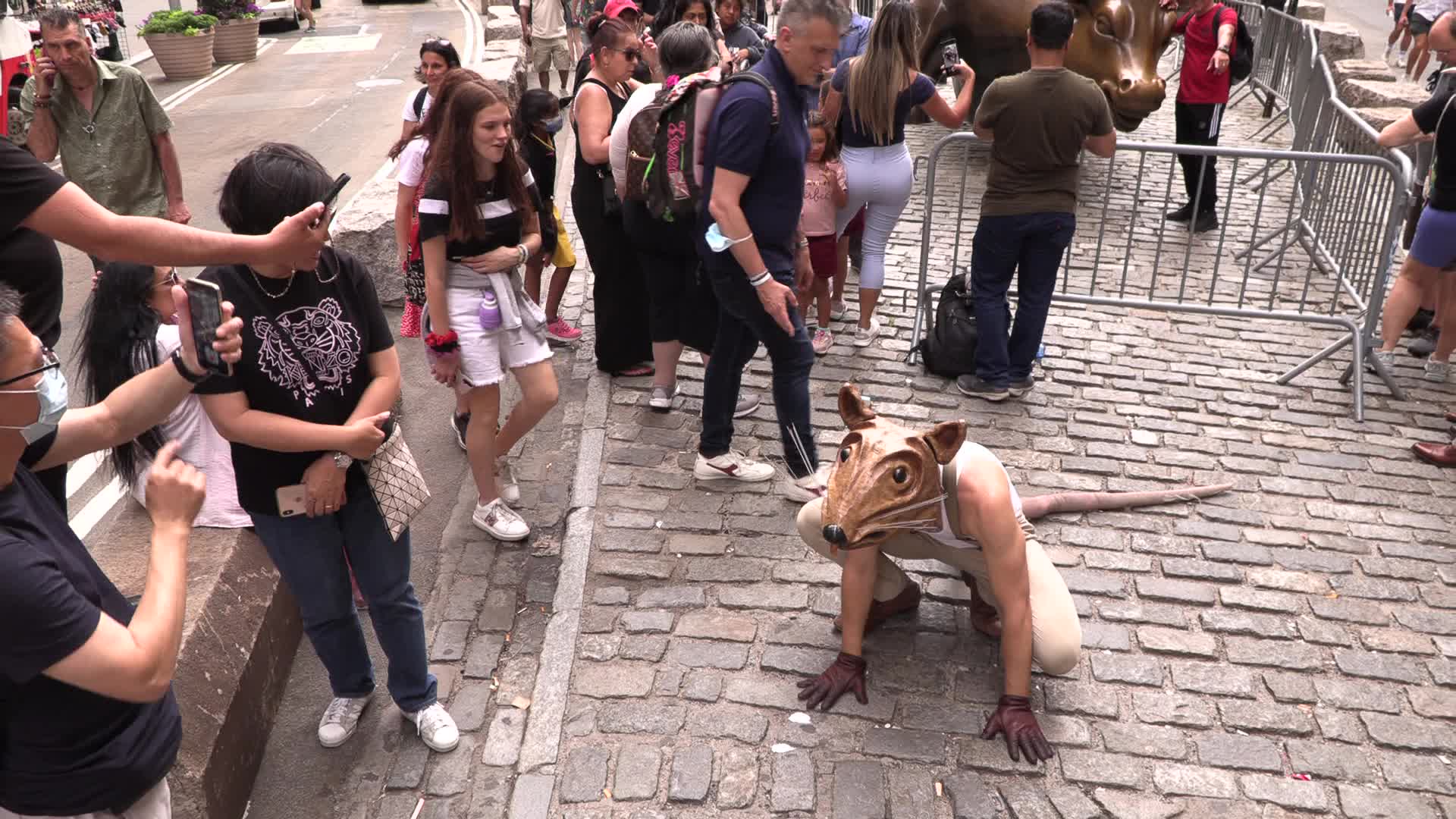 NYC: Buddy the Rat