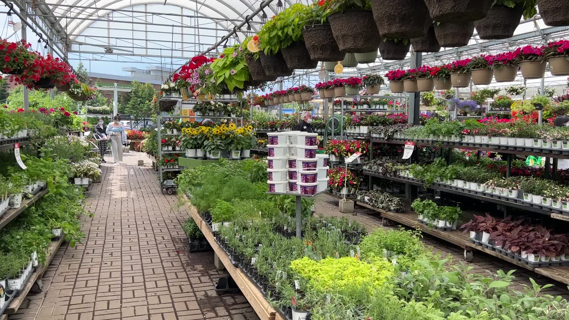 Spring season in Canada