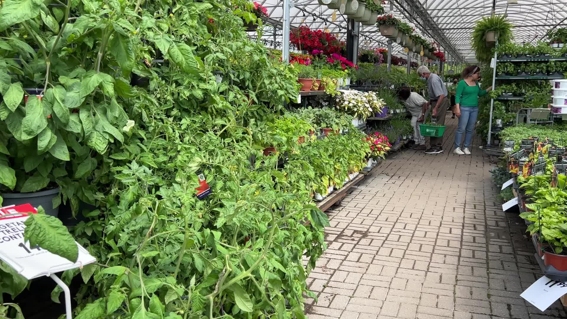Spring season in Canada