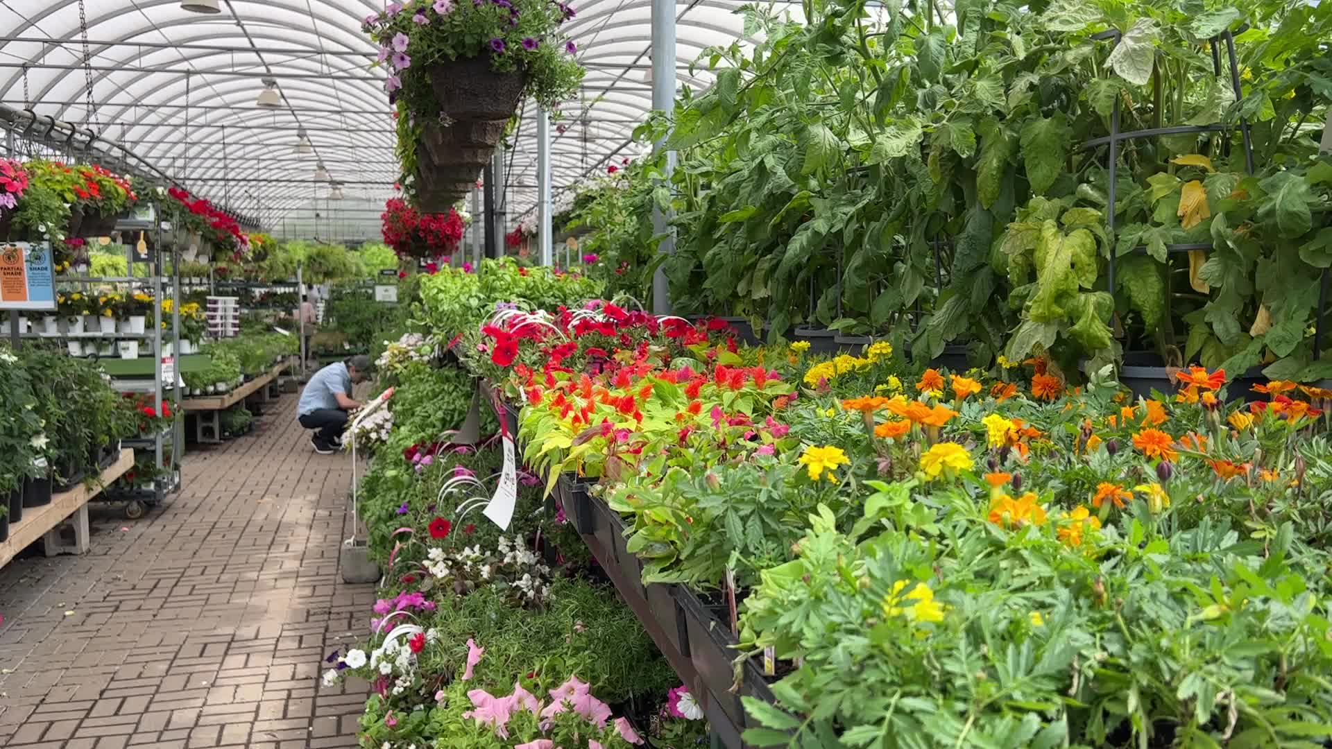 Spring season in Canada