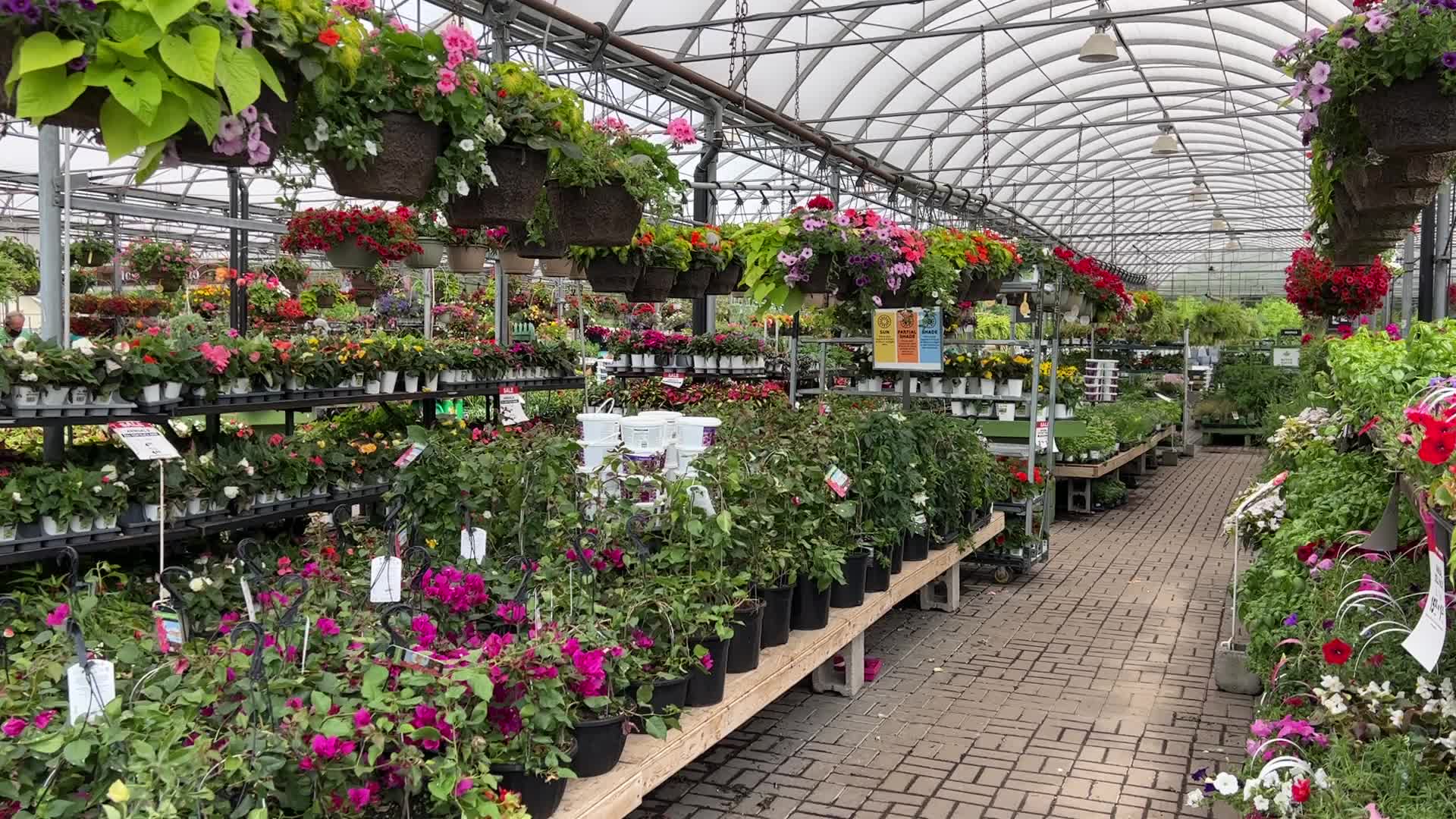 Spring season in Canada