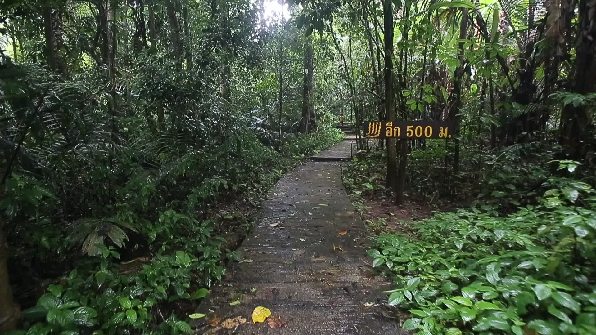 Tee Lor Su Waterfall