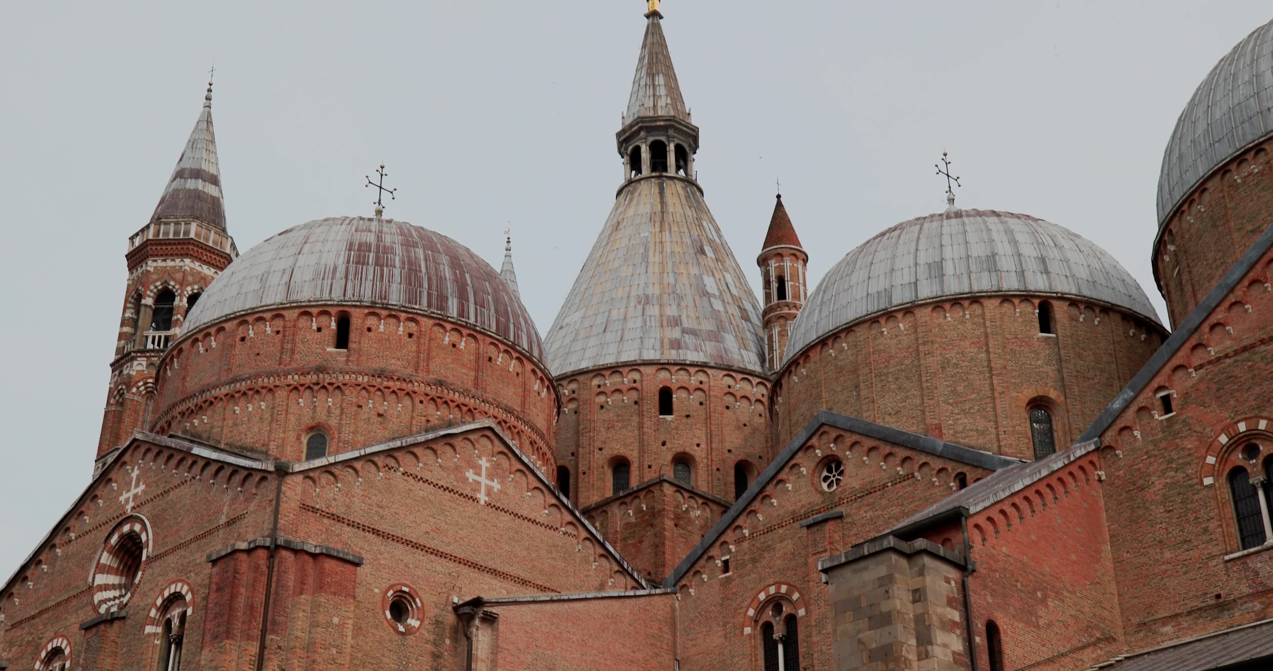 The Feast of St. Anthony of Padua