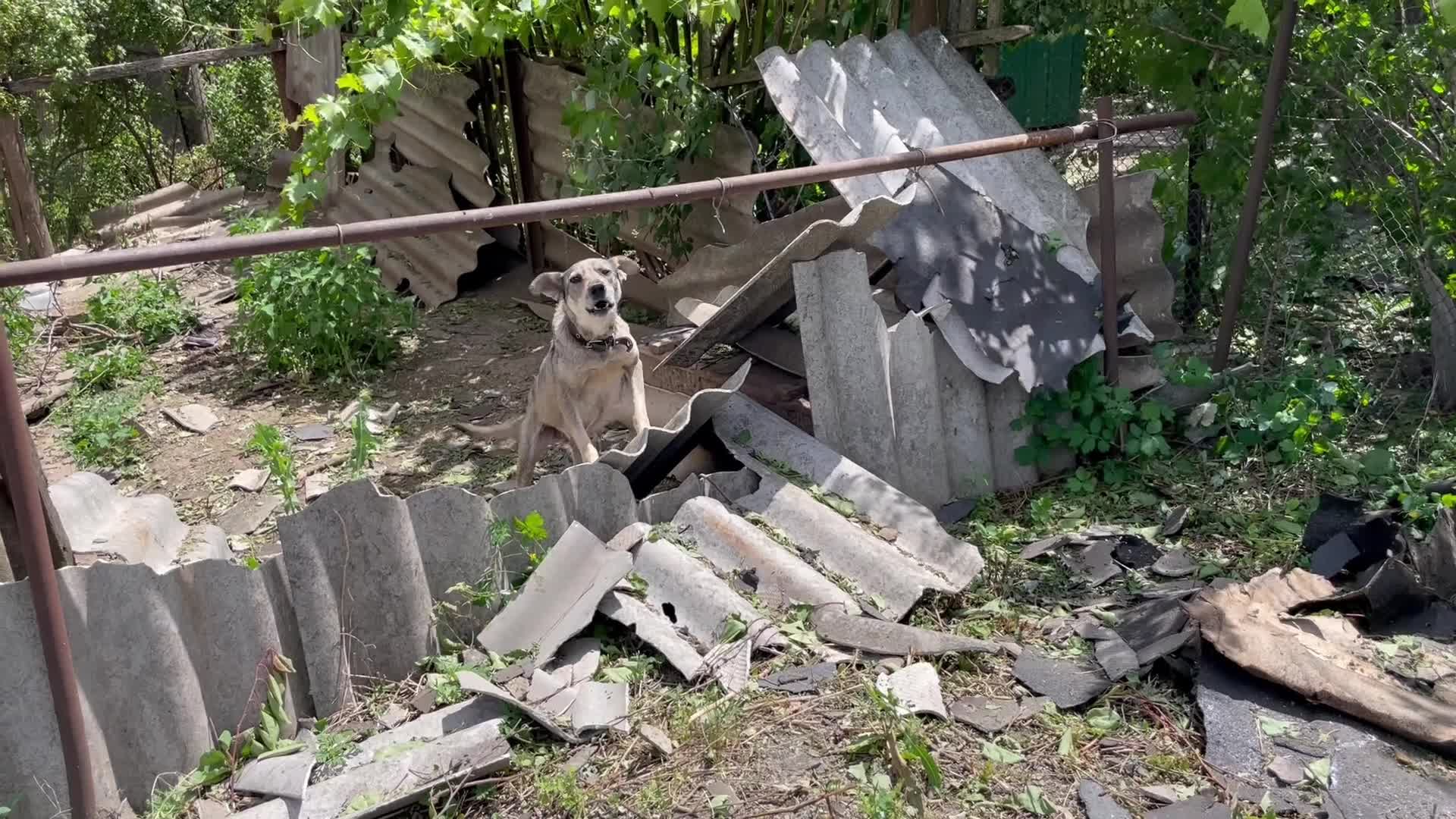 Shelling in Apostolove, Ukraine
