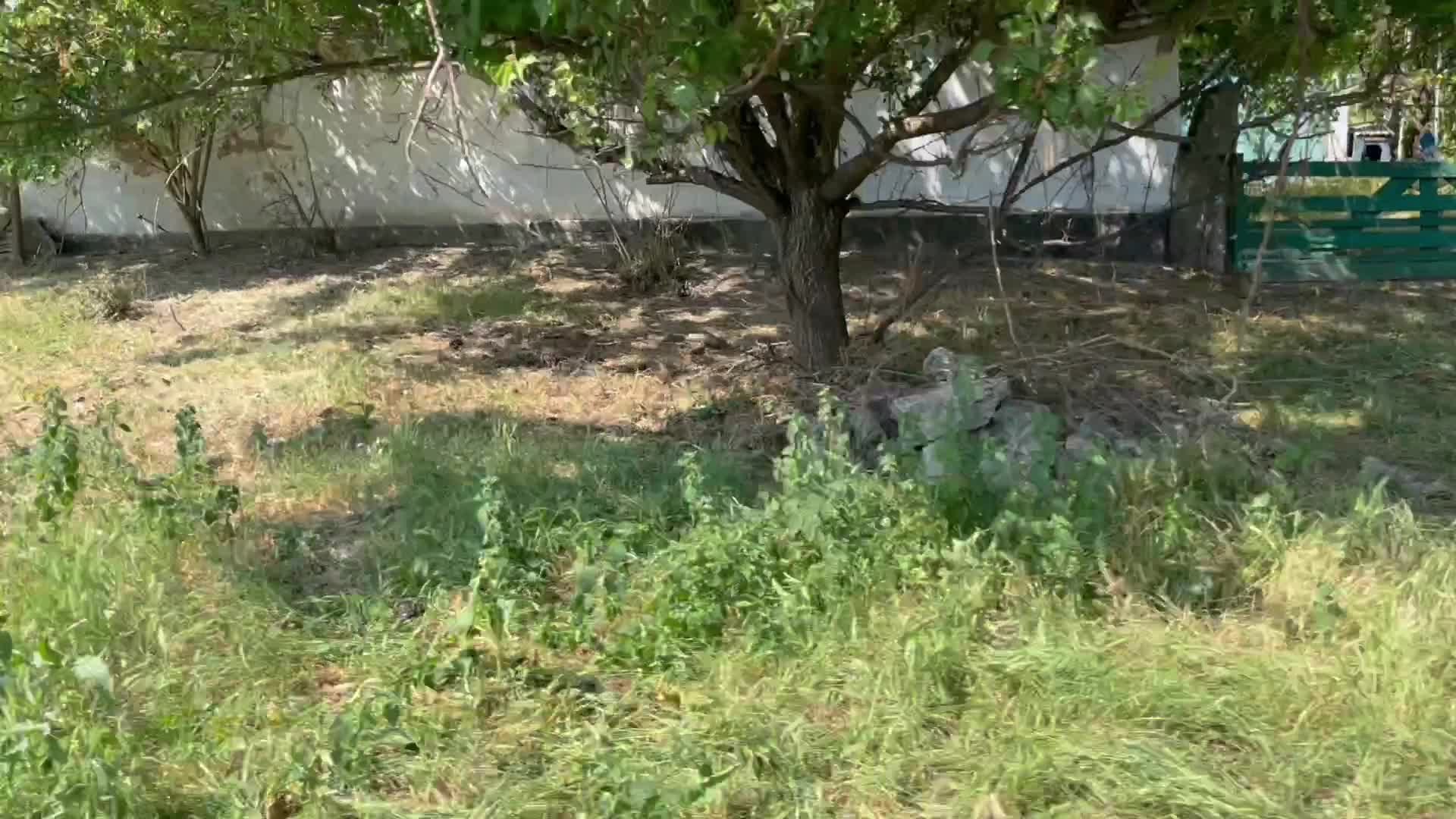 Humanitarian Aid In Osokorivka, Ukraine Amid The Russian Invasion of Ukraine