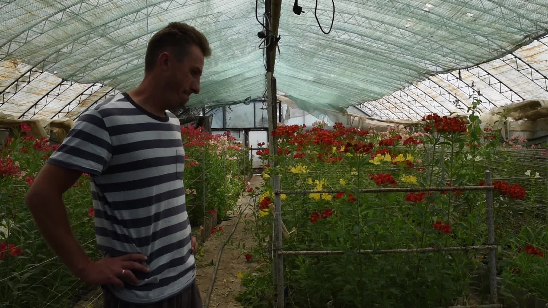 Shelling In Novovorontsovka, Ukraine