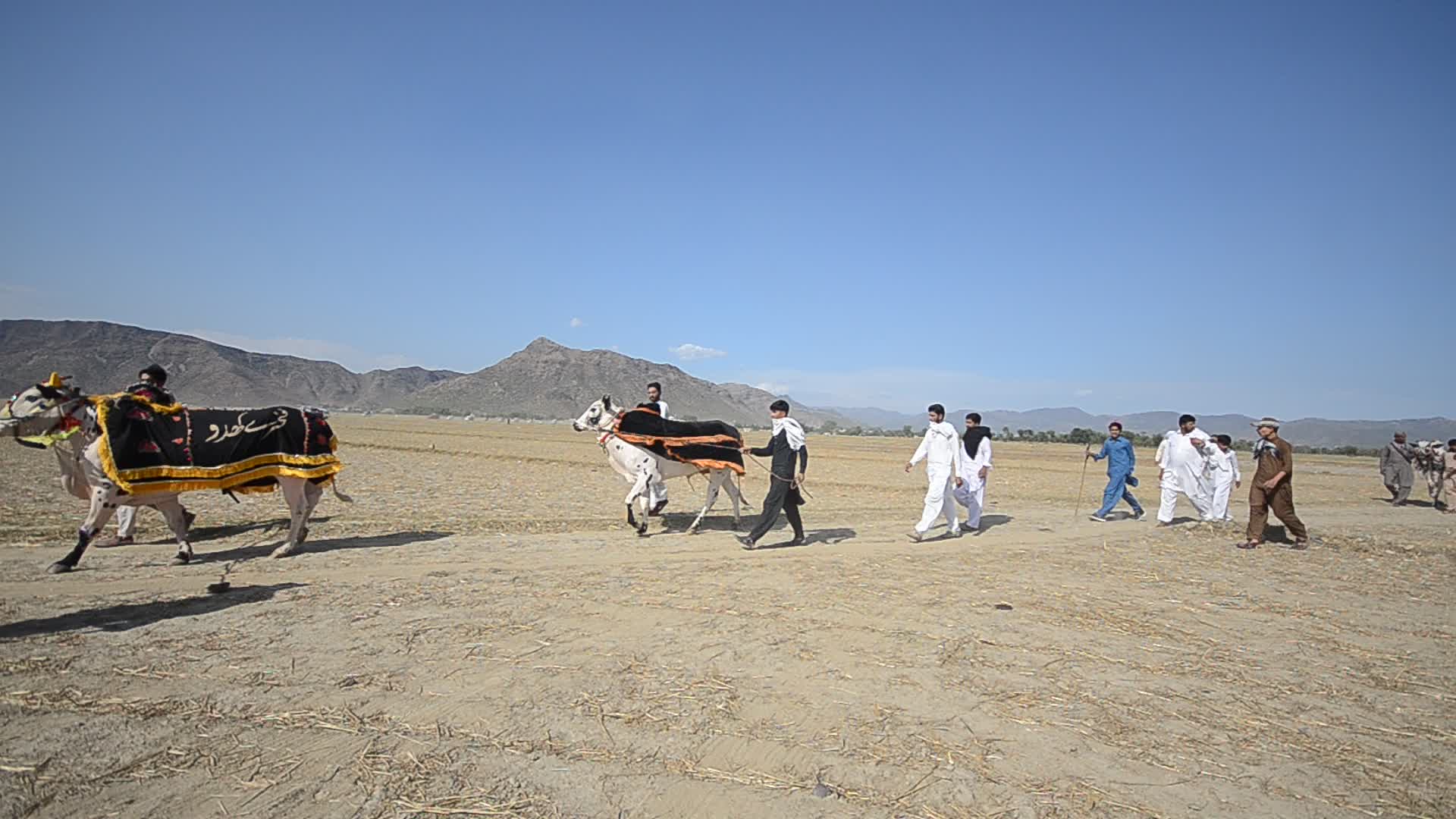 Traditional games kick off in district Haripur, Pakistan