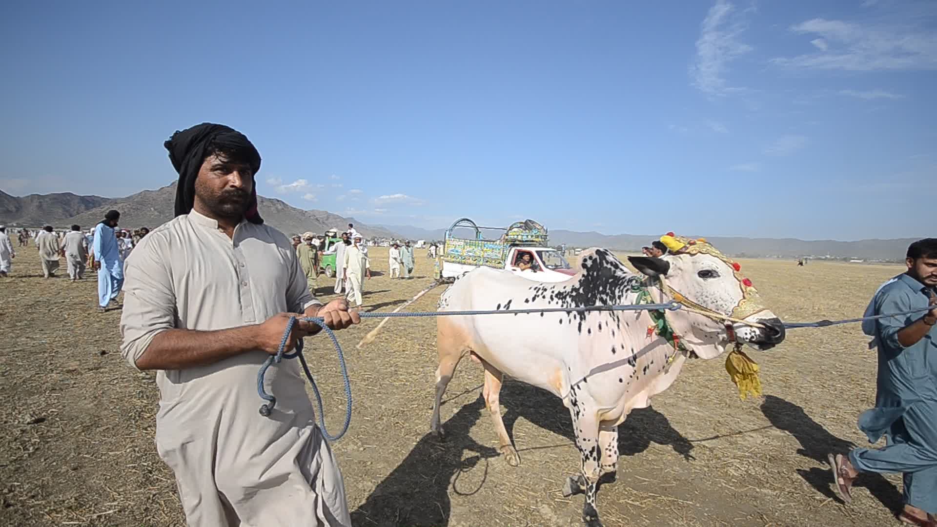 Traditional games kick off in district Haripur, Pakistan
