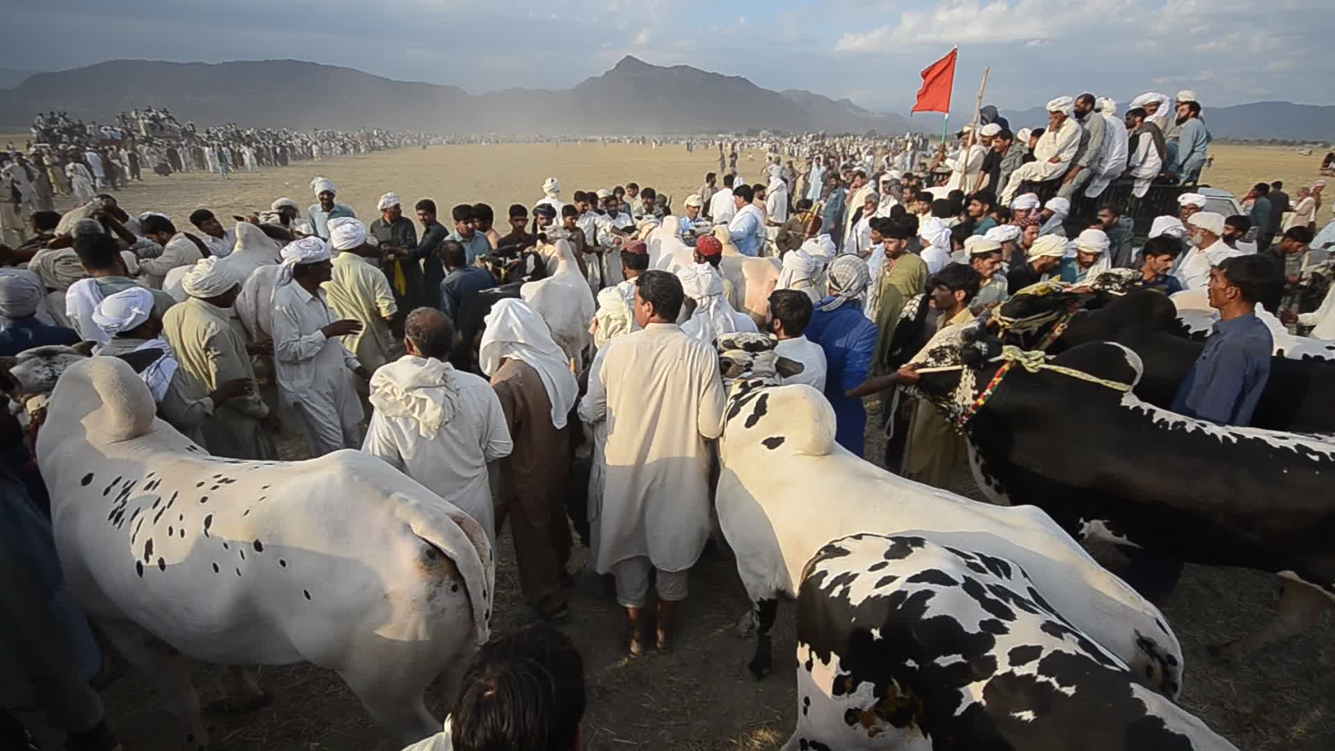 Traditional games kick off in district Haripur, Pakistan