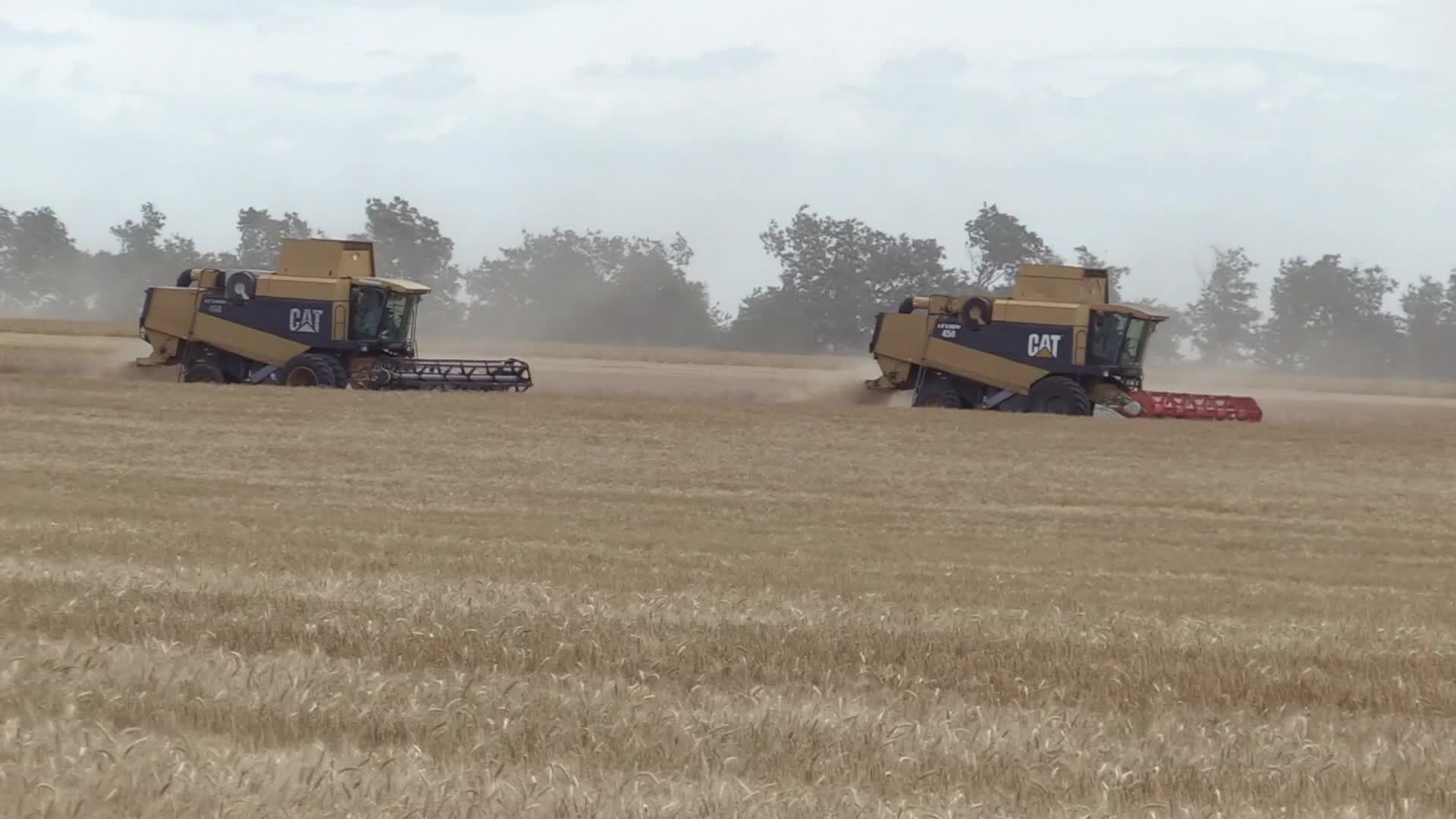 Barley harvesting in Odesa region, amid Russia's invasion of Ukraine