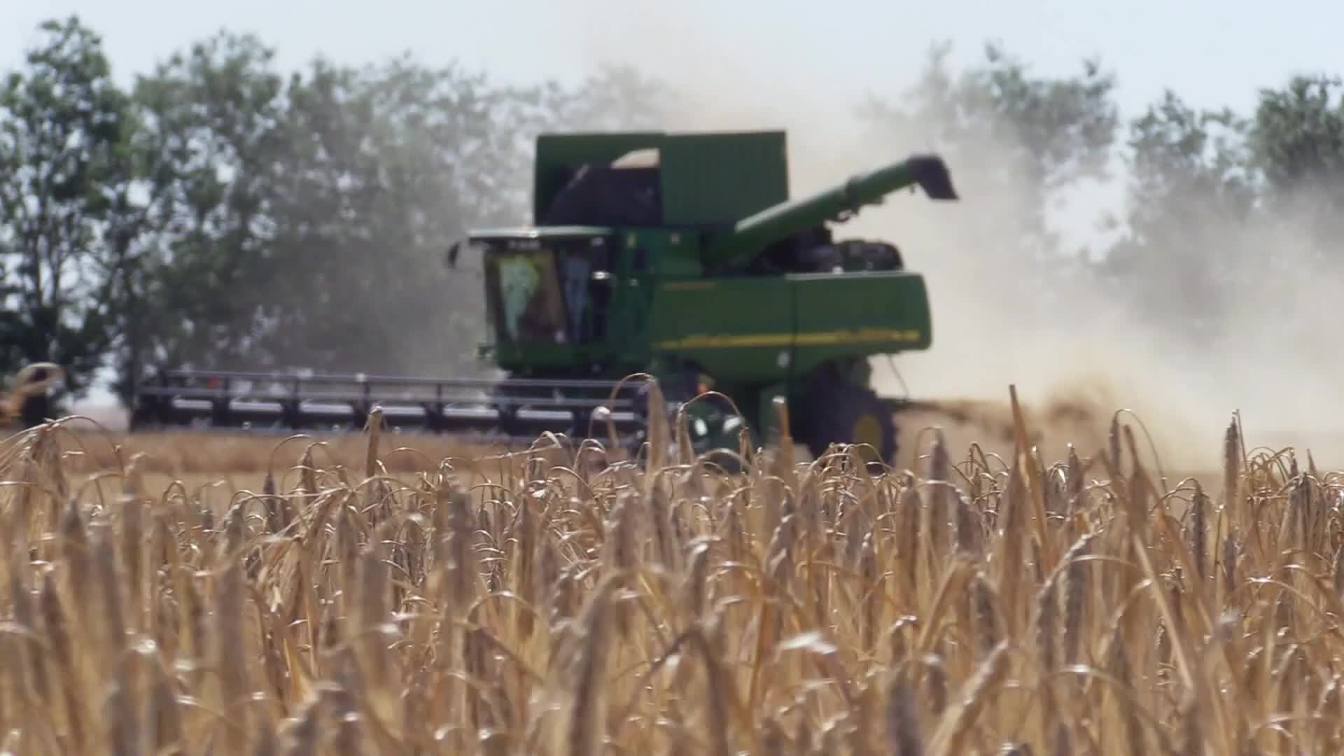 Barley harvesting in Odesa region, amid Russia's invasion of Ukraine