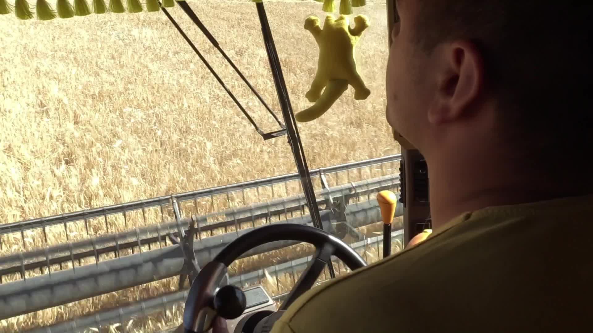 Barley harvesting in Odesa region, amid Russia's invasion of Ukraine